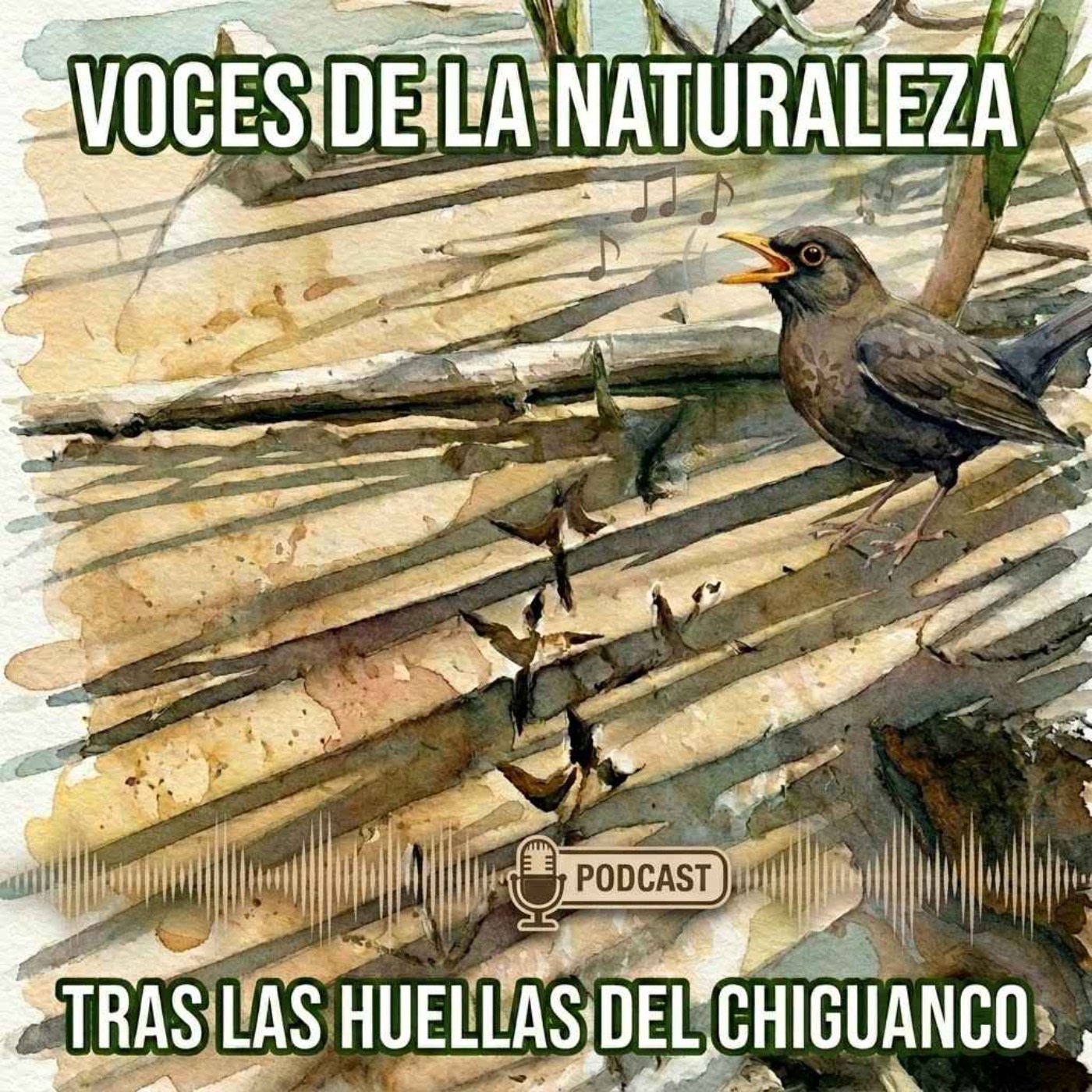 Portada de ¿A qué suena tu ciudad?