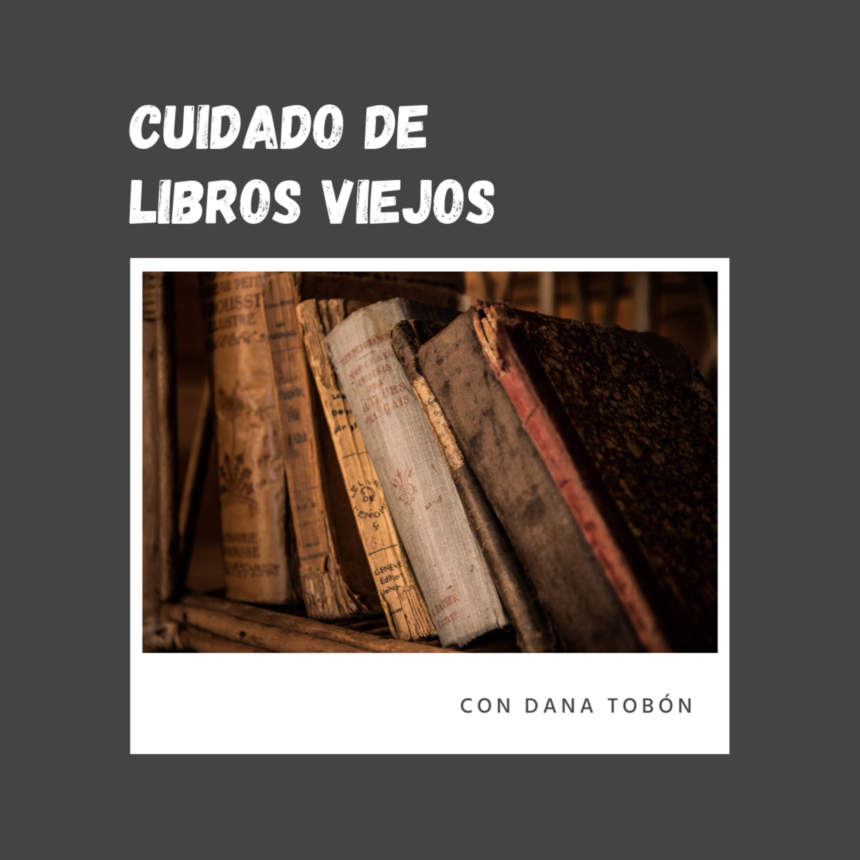 Catchy Cultura