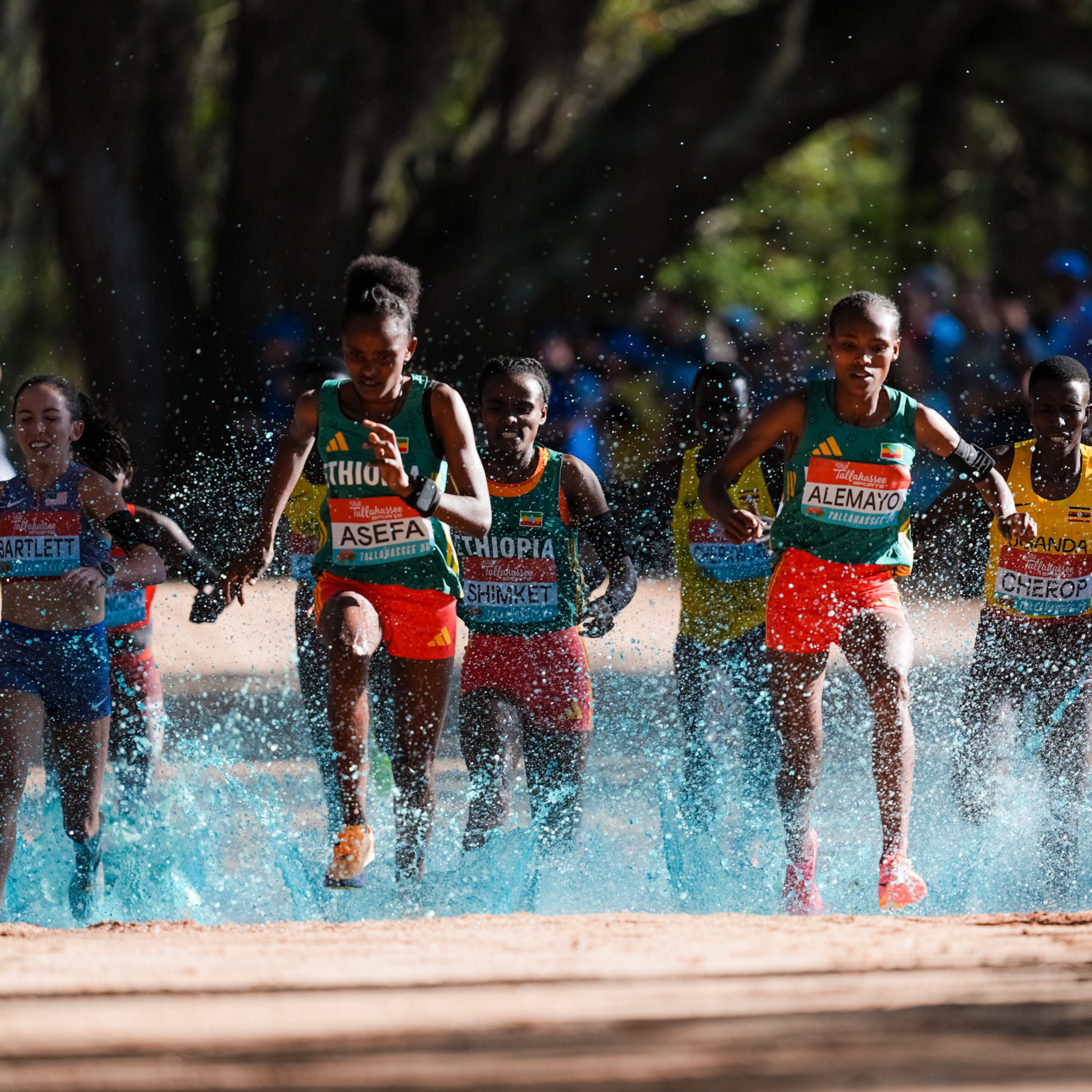 Head Challenges for cross country, records on the roads and Enhanced Games controversy