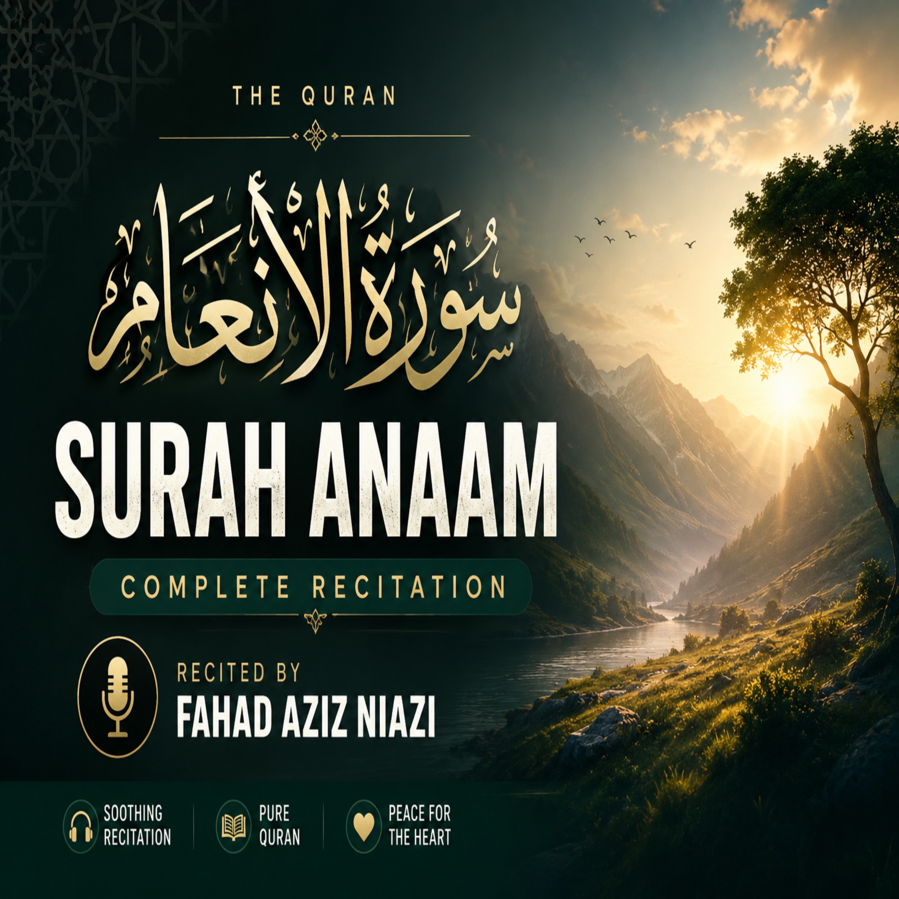 Surah Al- Anaam | Fahad Aziz Niazi | Fahad Aziz Niazi سورة الأنعام | فهد عزيز نيازي