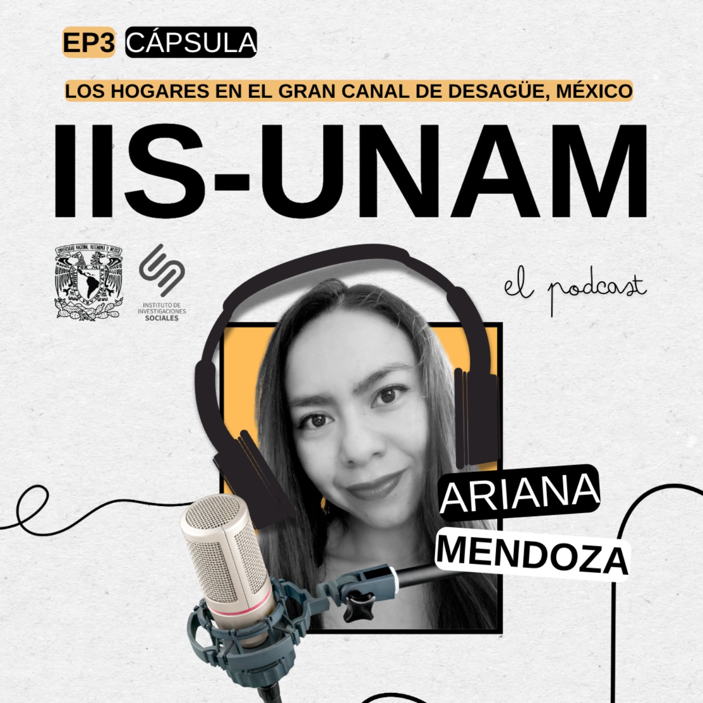 Instituto de Investigaciones Sociales de la UNAM
