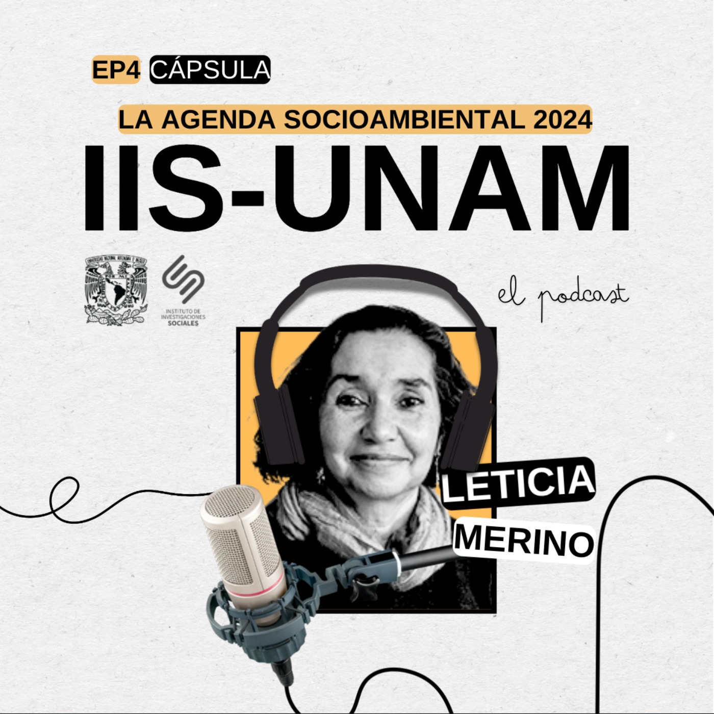 Instituto de Investigaciones Sociales de la UNAM