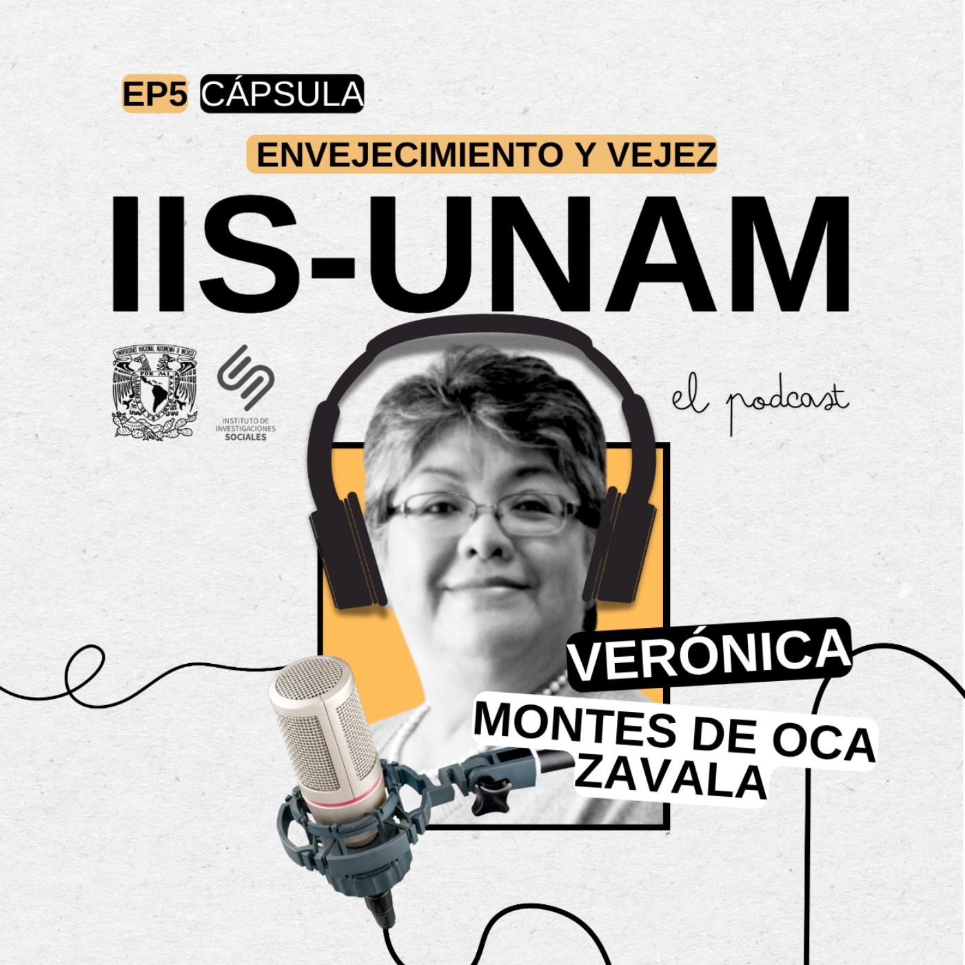 Instituto de Investigaciones Sociales de la UNAM