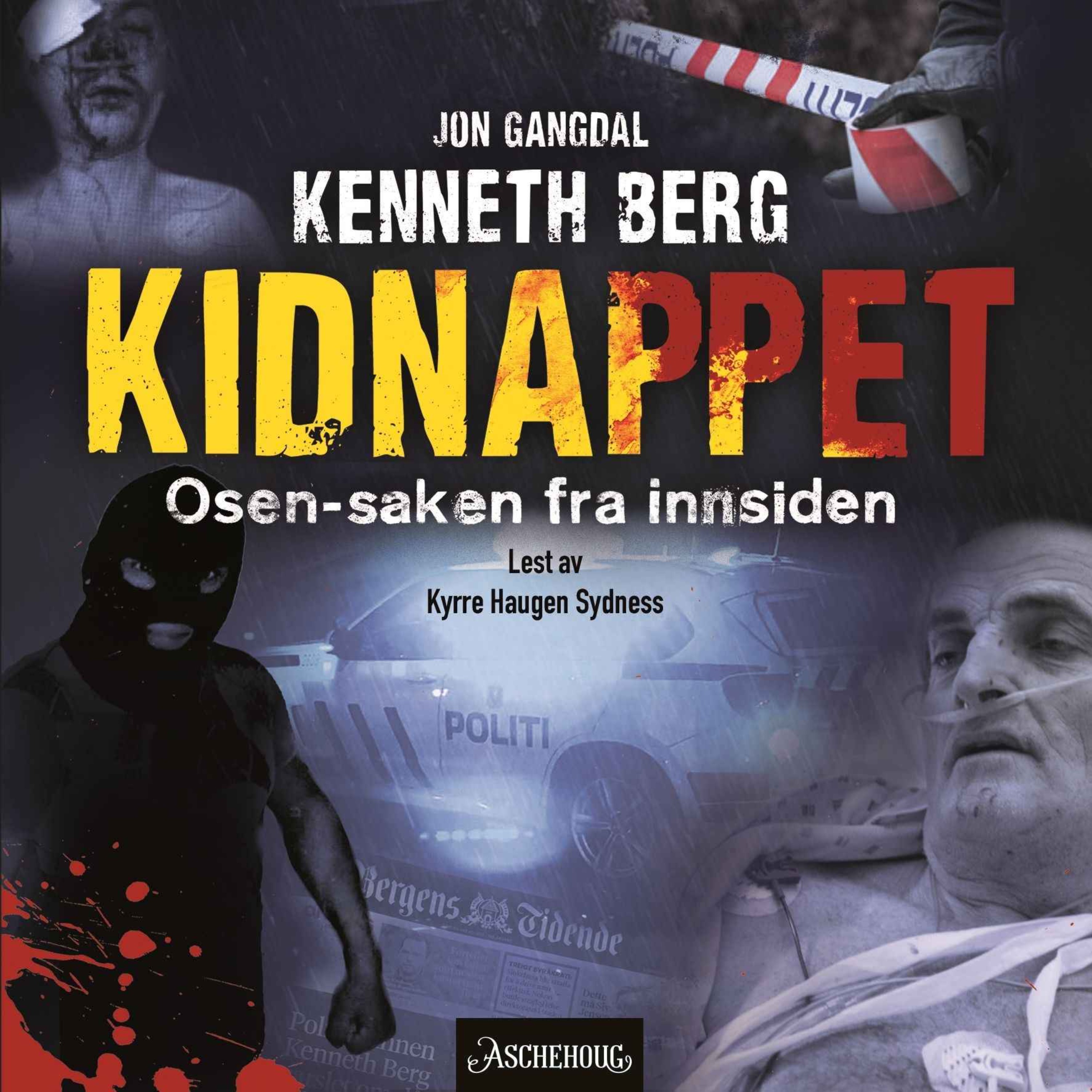 Privatgranskeren
