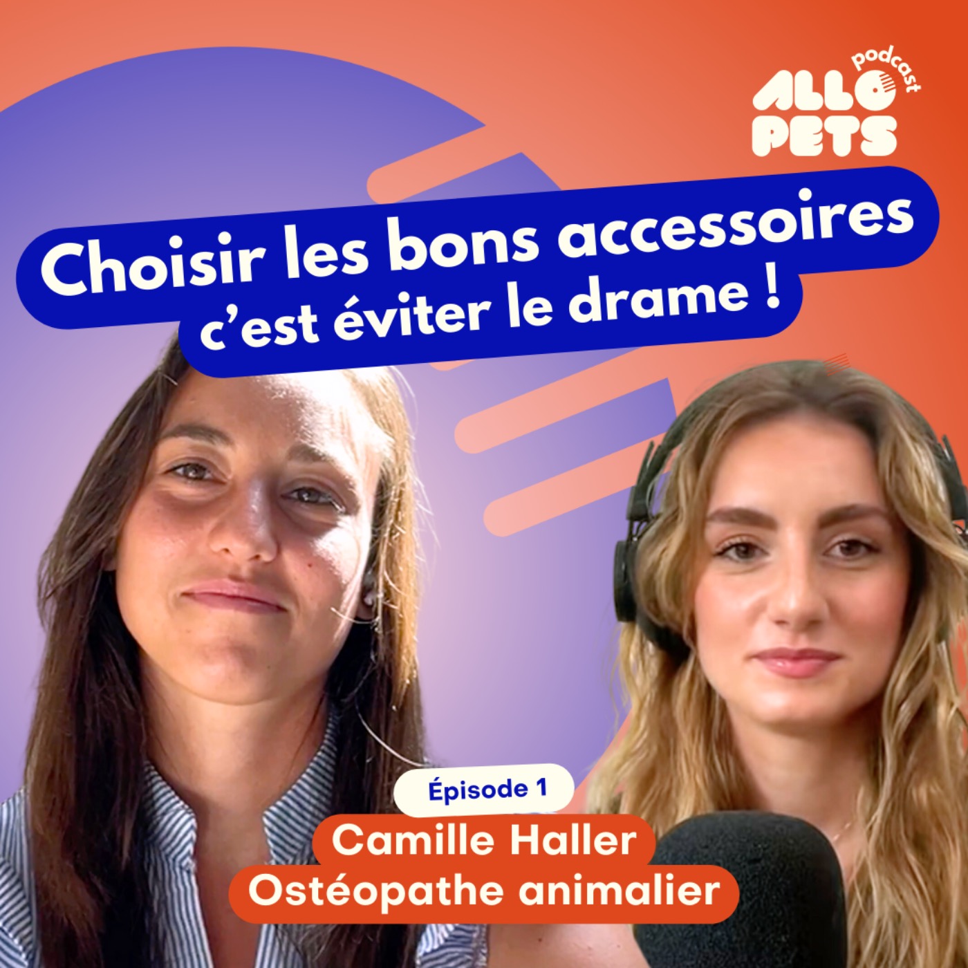 AlloPets podcast