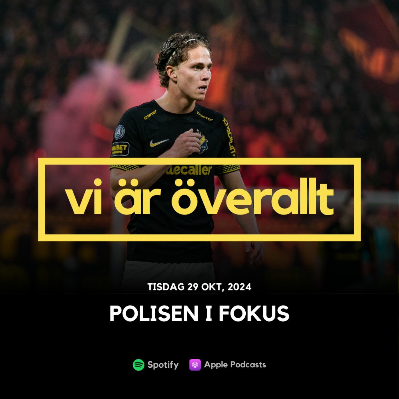 Polisen i fokus