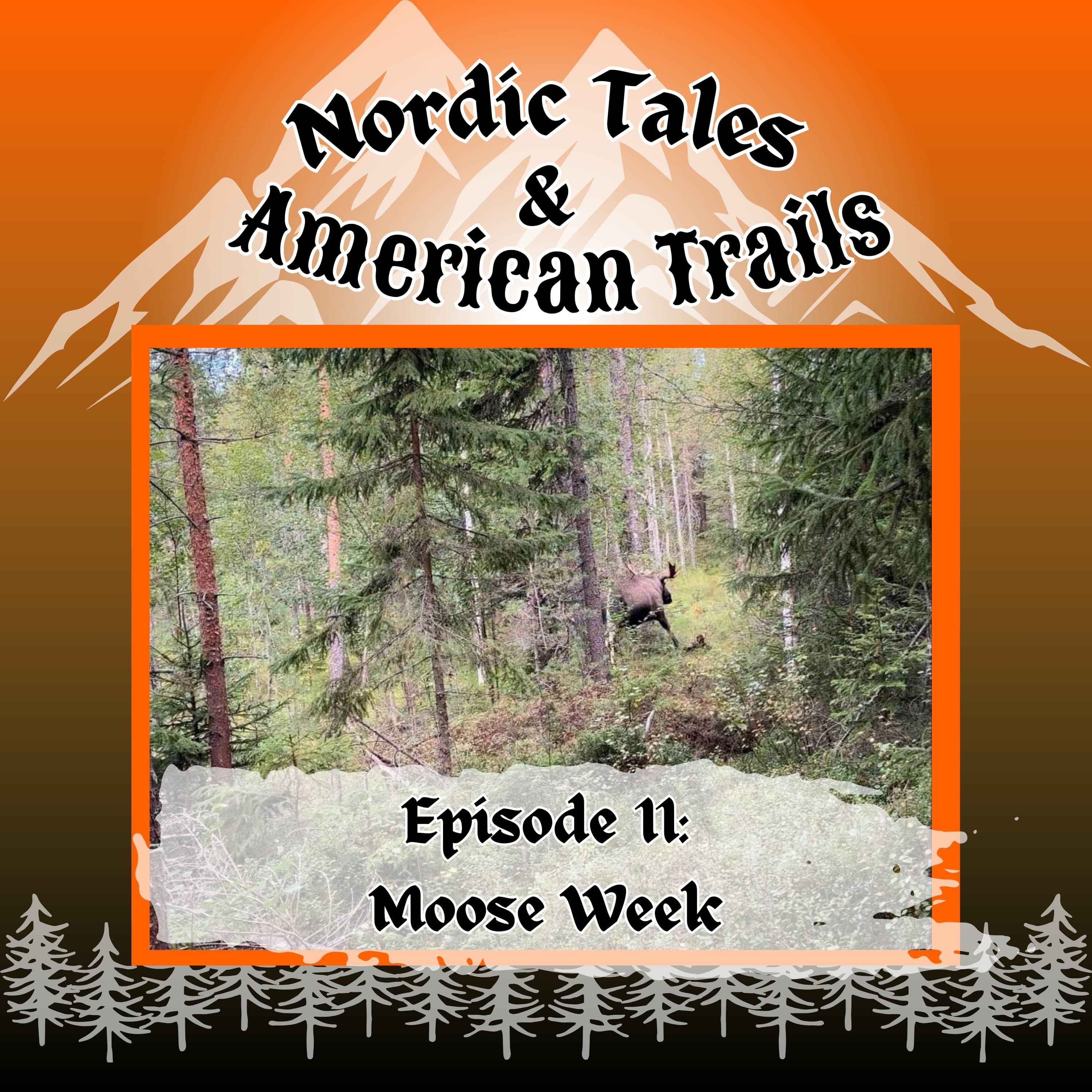 Episode 11: Moose week