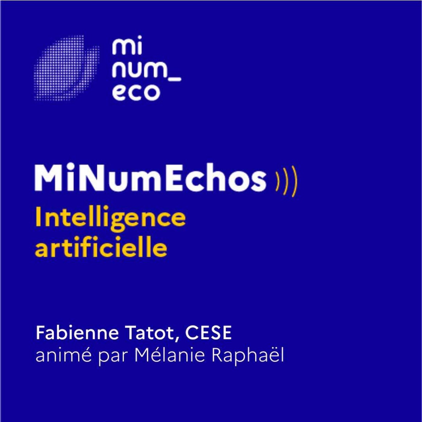 MiNumEchos : initiatives pour un numérique public écoresponsable