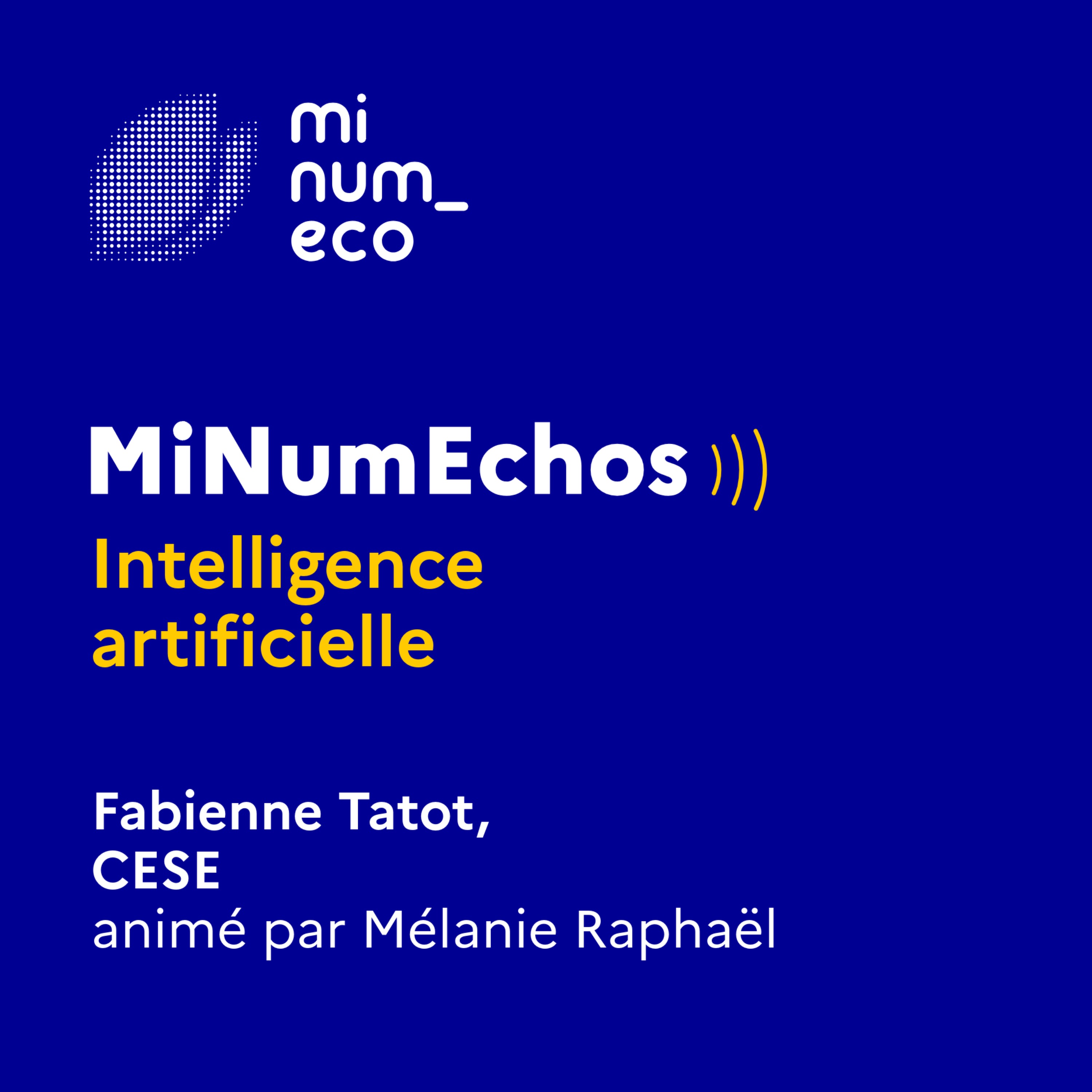 MiNumEchos : initiatives pour un numérique public écoresponsable