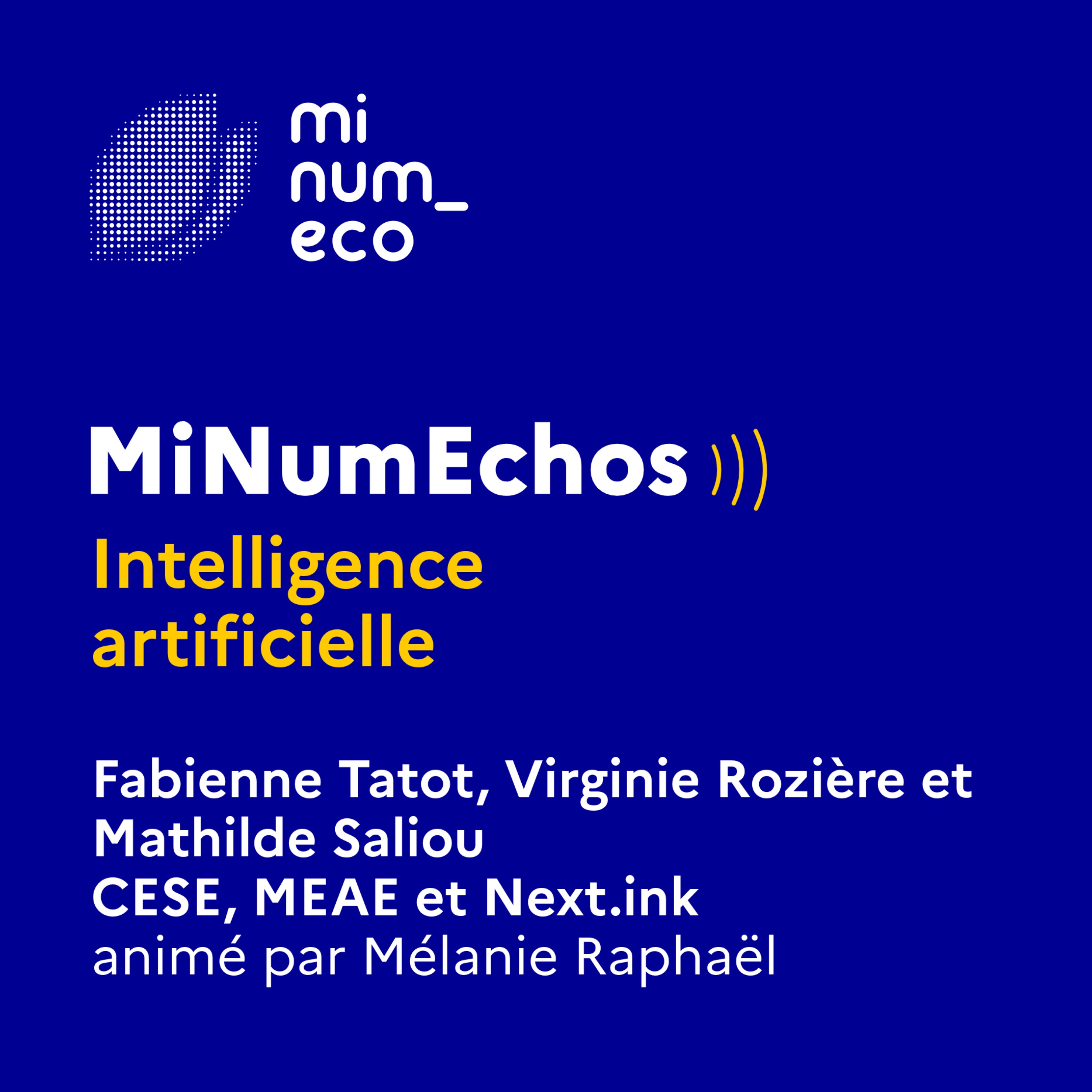 MiNumEchos : initiatives pour un numérique public écoresponsable