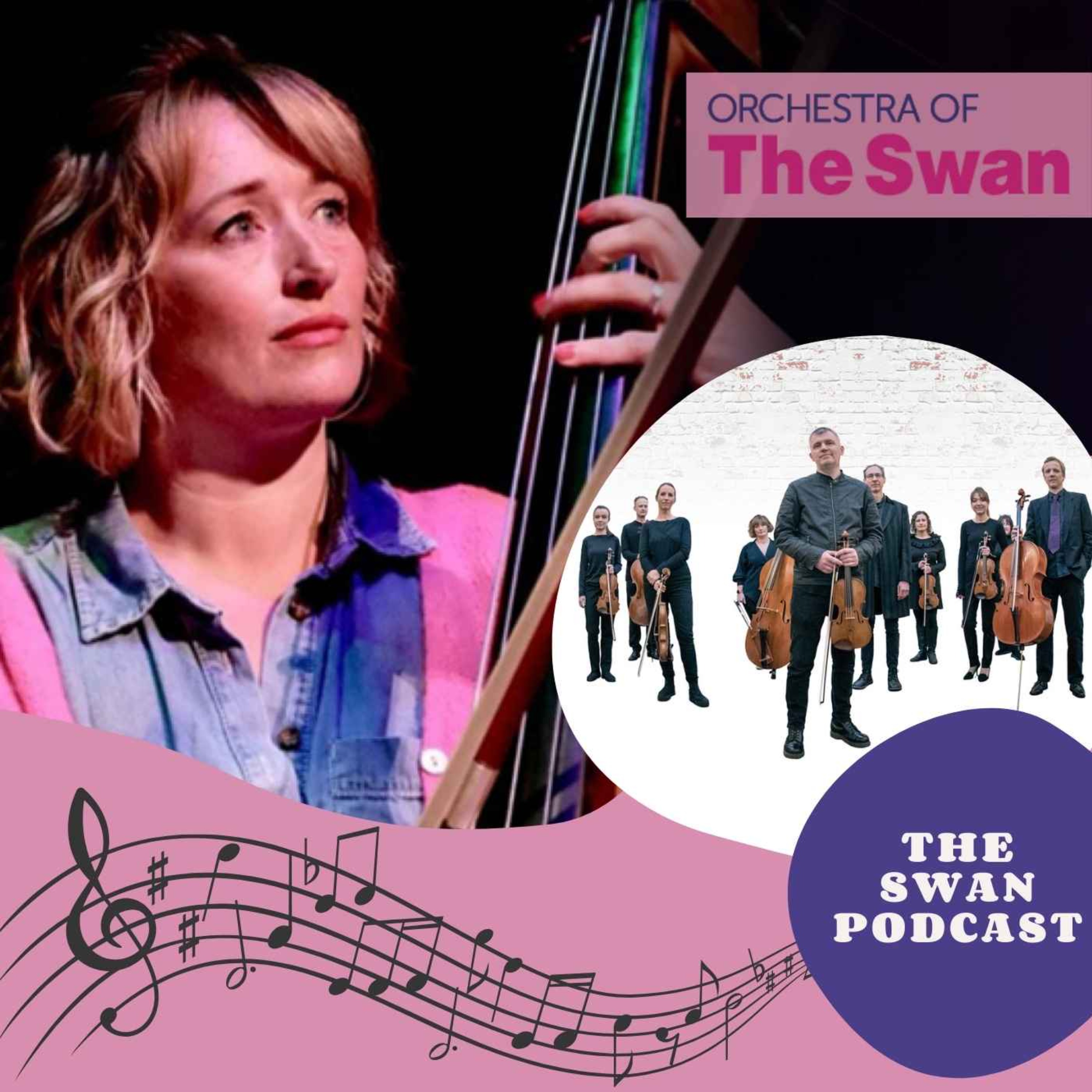 Orchestra of the Swan