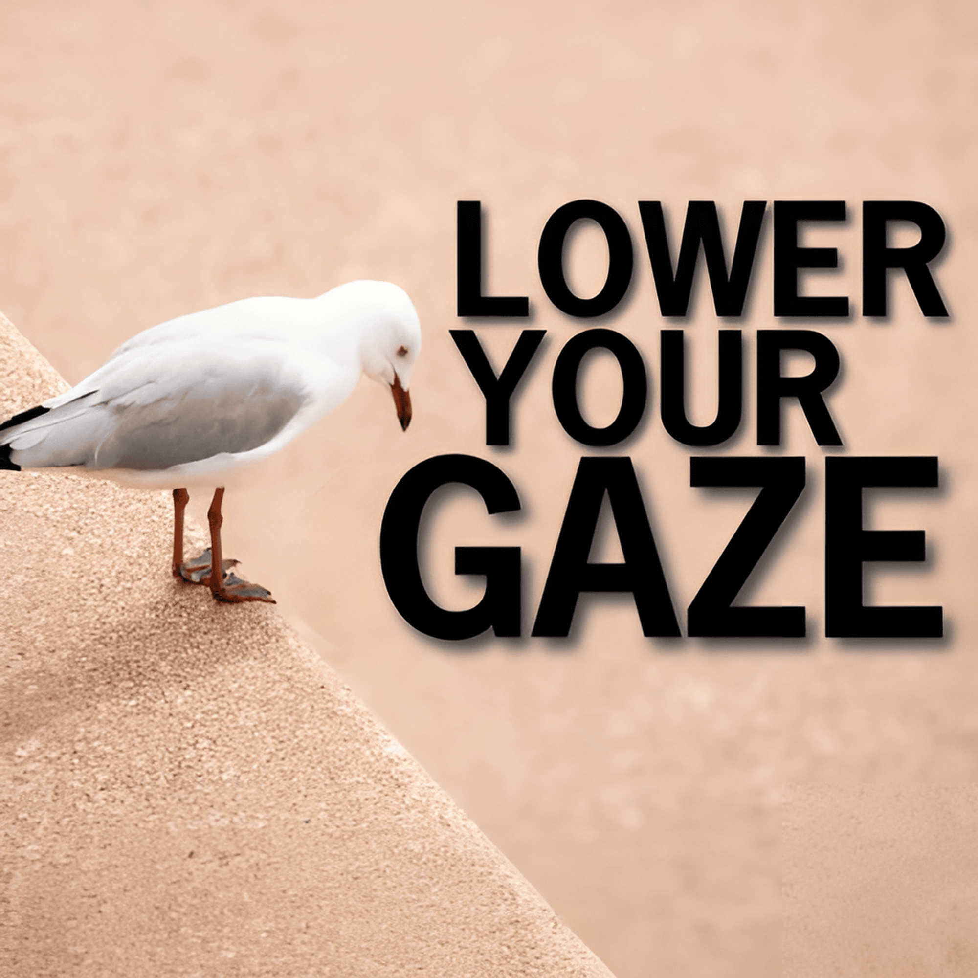 Mufti Menk Podcast
