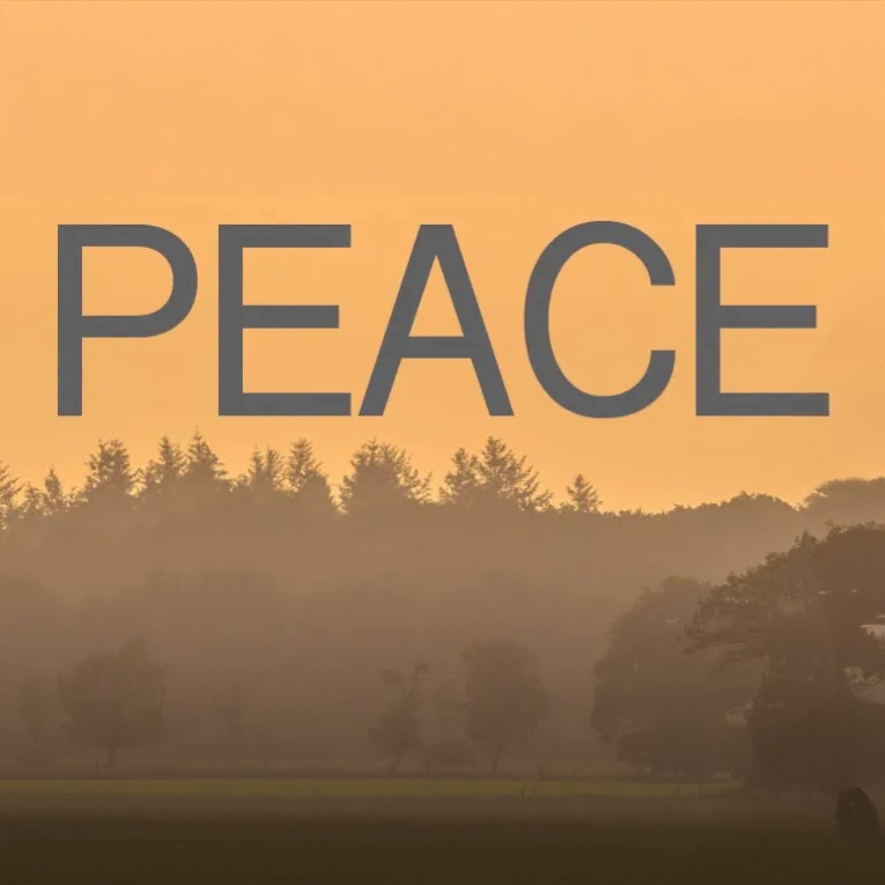 Have you made peace with Him? | Mufti Menk Podcast
