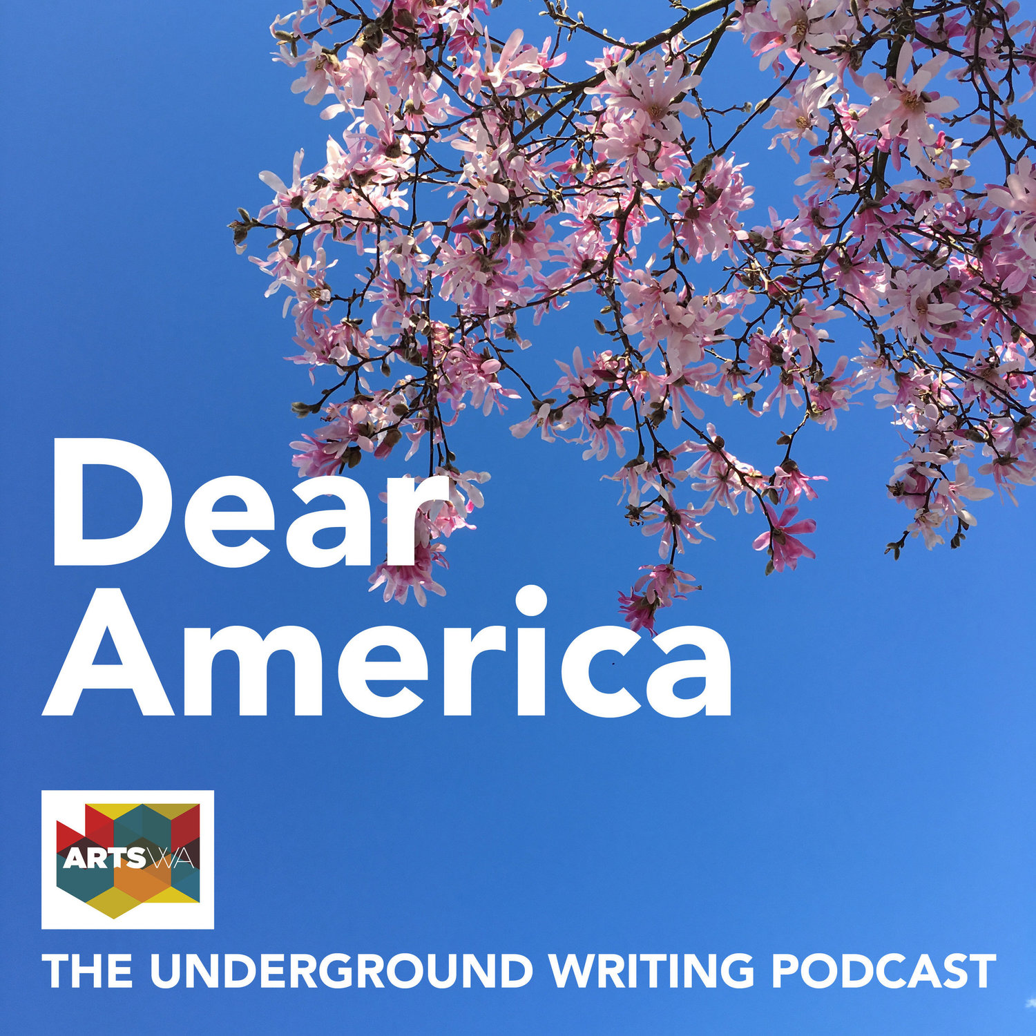 The Underground Writing Podcast