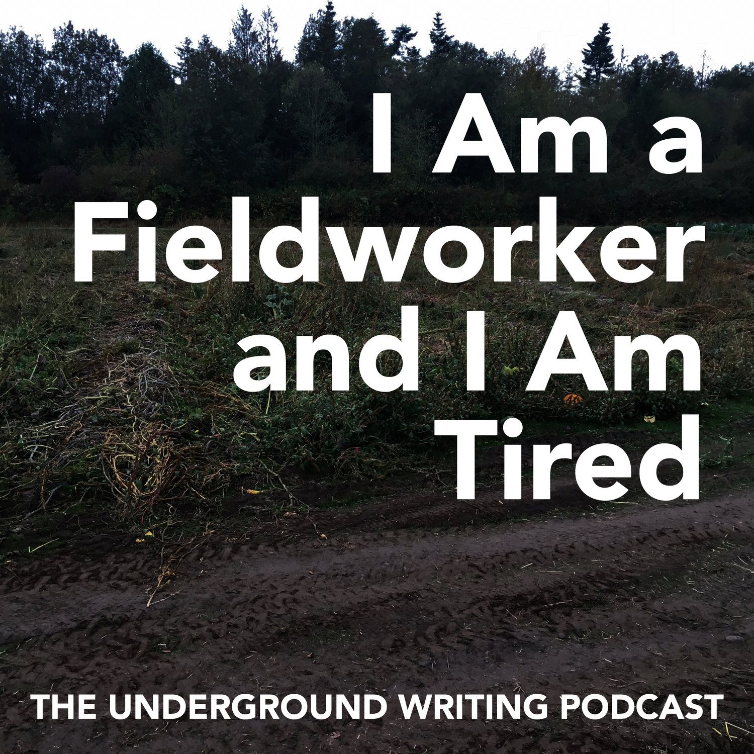 I Am a Fieldworker and I Am Tired episode artwork