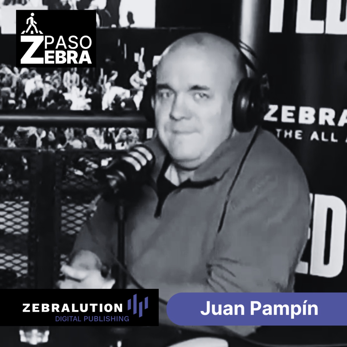 Paso Zebra