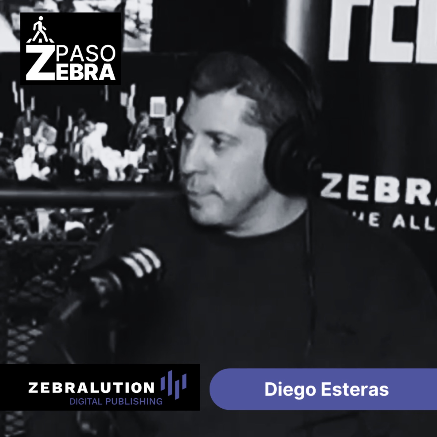 Paso Zebra