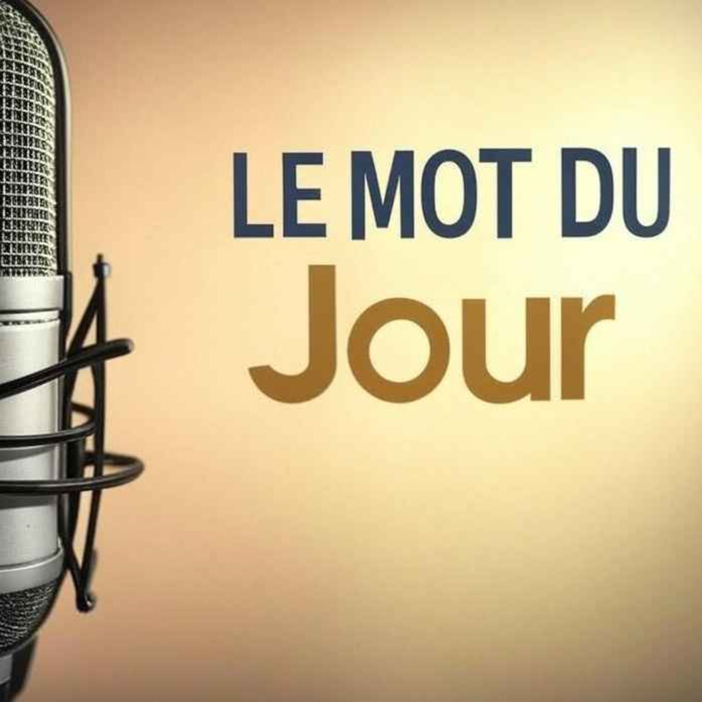 L'expression de la semaine #30 - "METTRE LA MISÈRE À QUELQU'UN" episode artwork