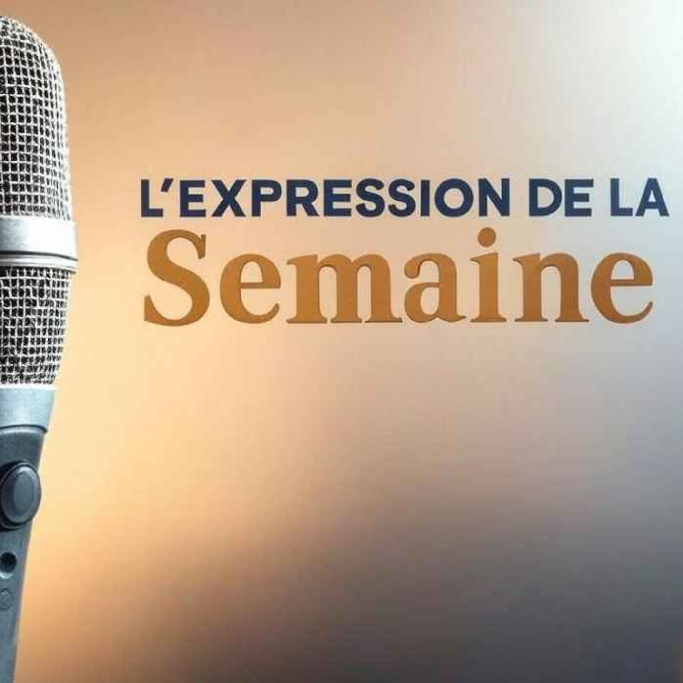 L'expression de la semaine #36 - N'EN MANQUER PAS UNE episode artwork
