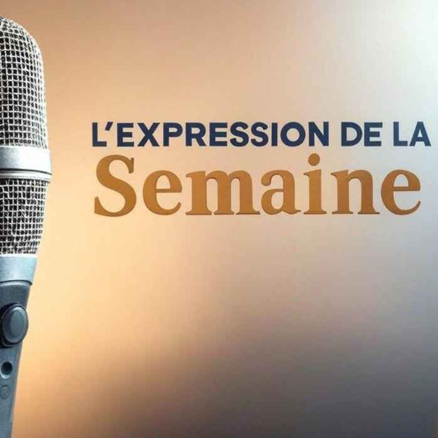 ÊTRE AU BOUT DU ROULEAU - L'Expression de la Semaine #42 episode artwork