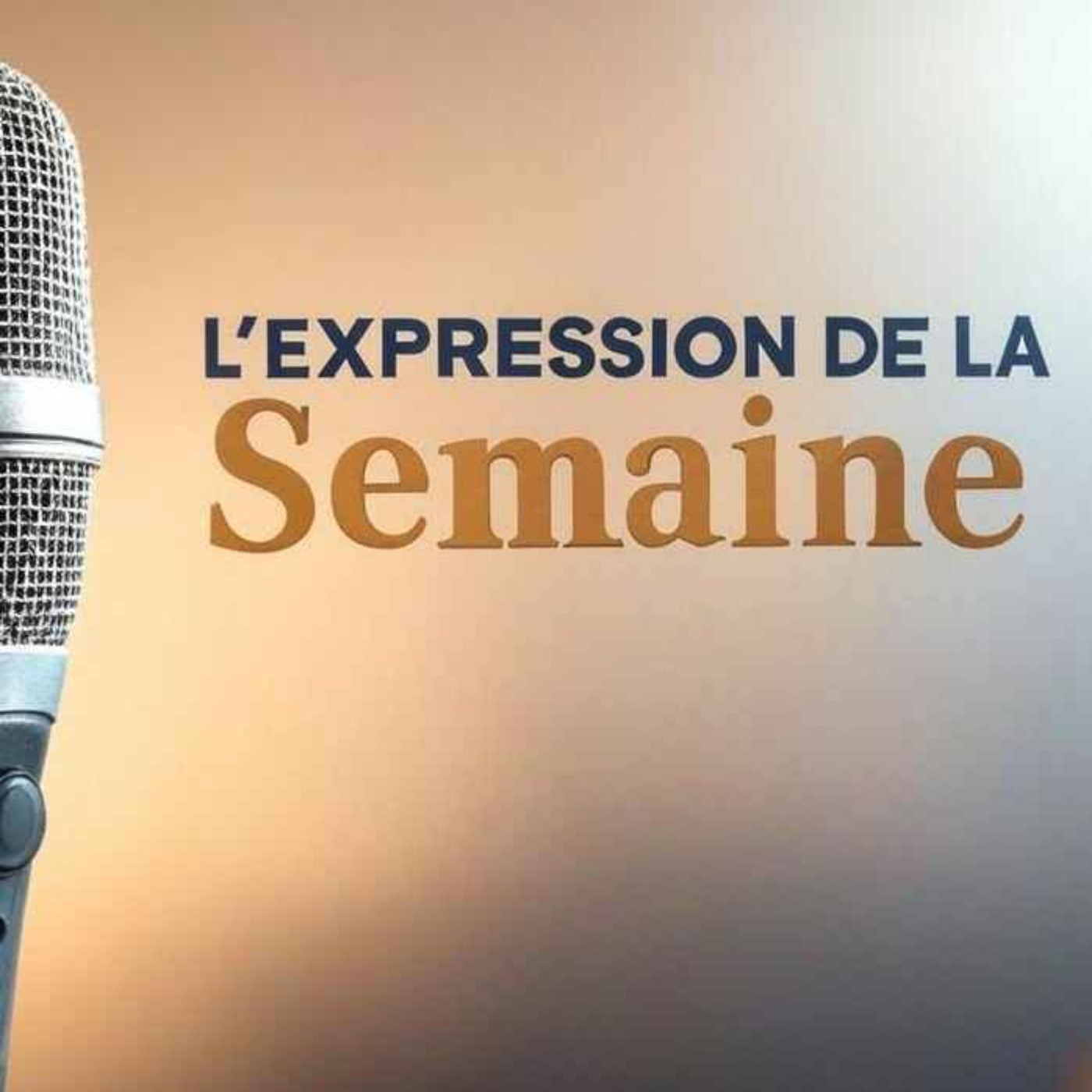 IL NE FAUT JAMAIS DIRE JAMAIS - L'Expression de la Semaine #45 episode artwork