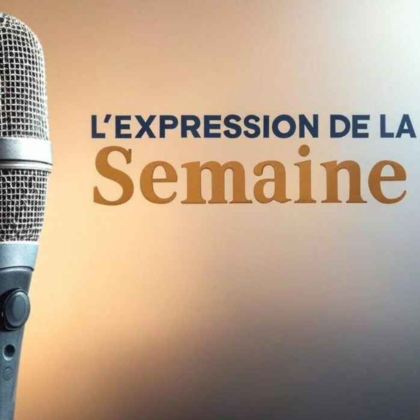 EN AVOIR RAS-LE-BOL – L’Expression de la Semaine %2347