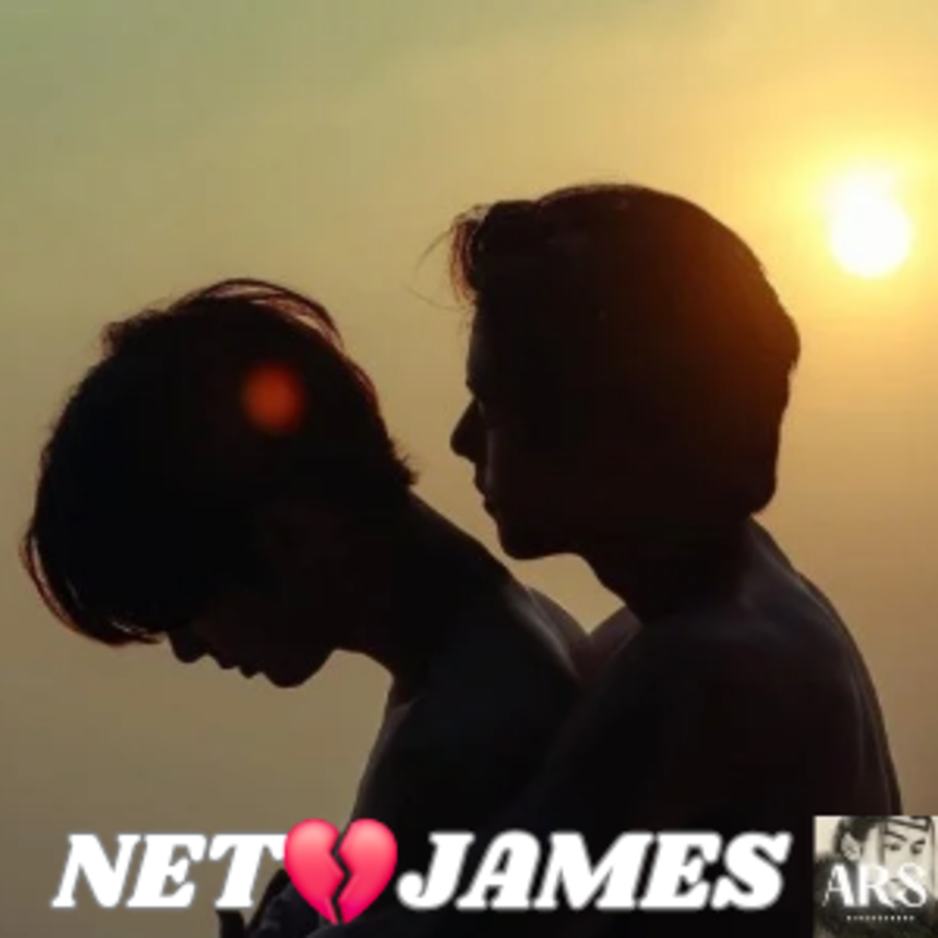 THE GREAT DIVORCE: NET💔JAMES episode artwork