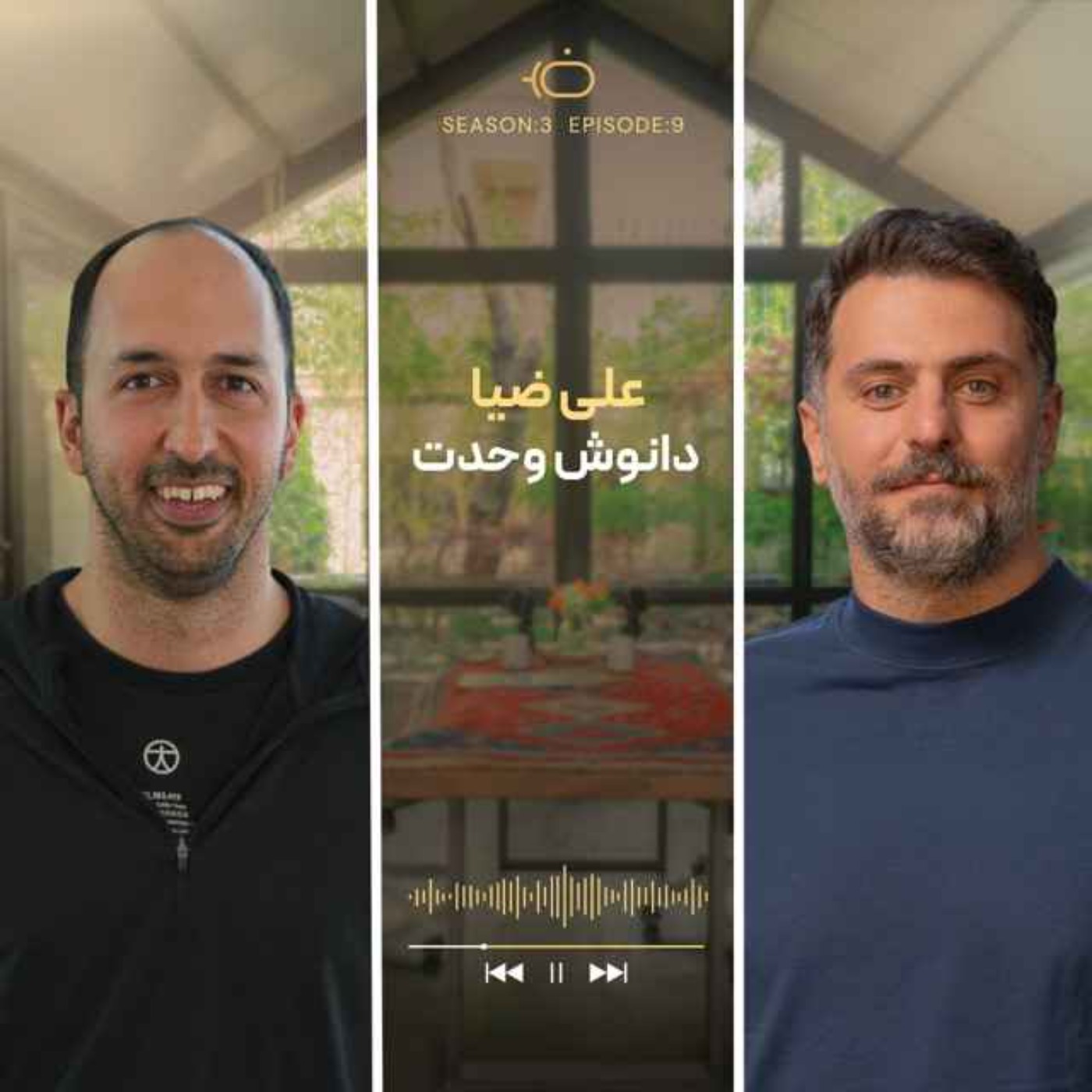 باضیا - دانوش وحدت