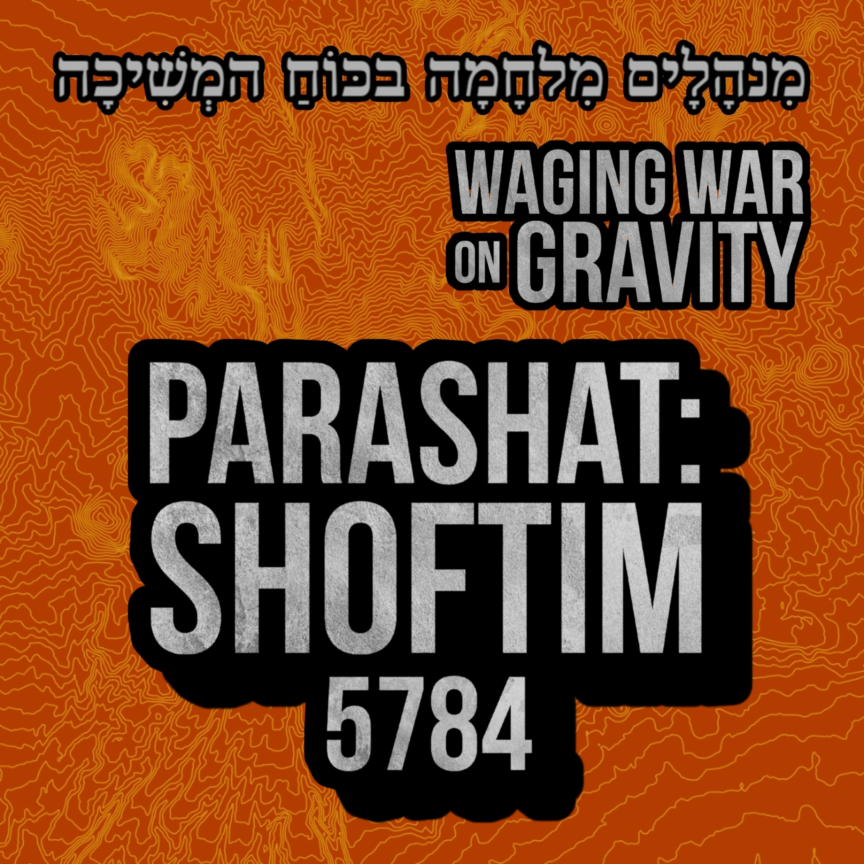 Parashat: Shoftim - Judges & Officials