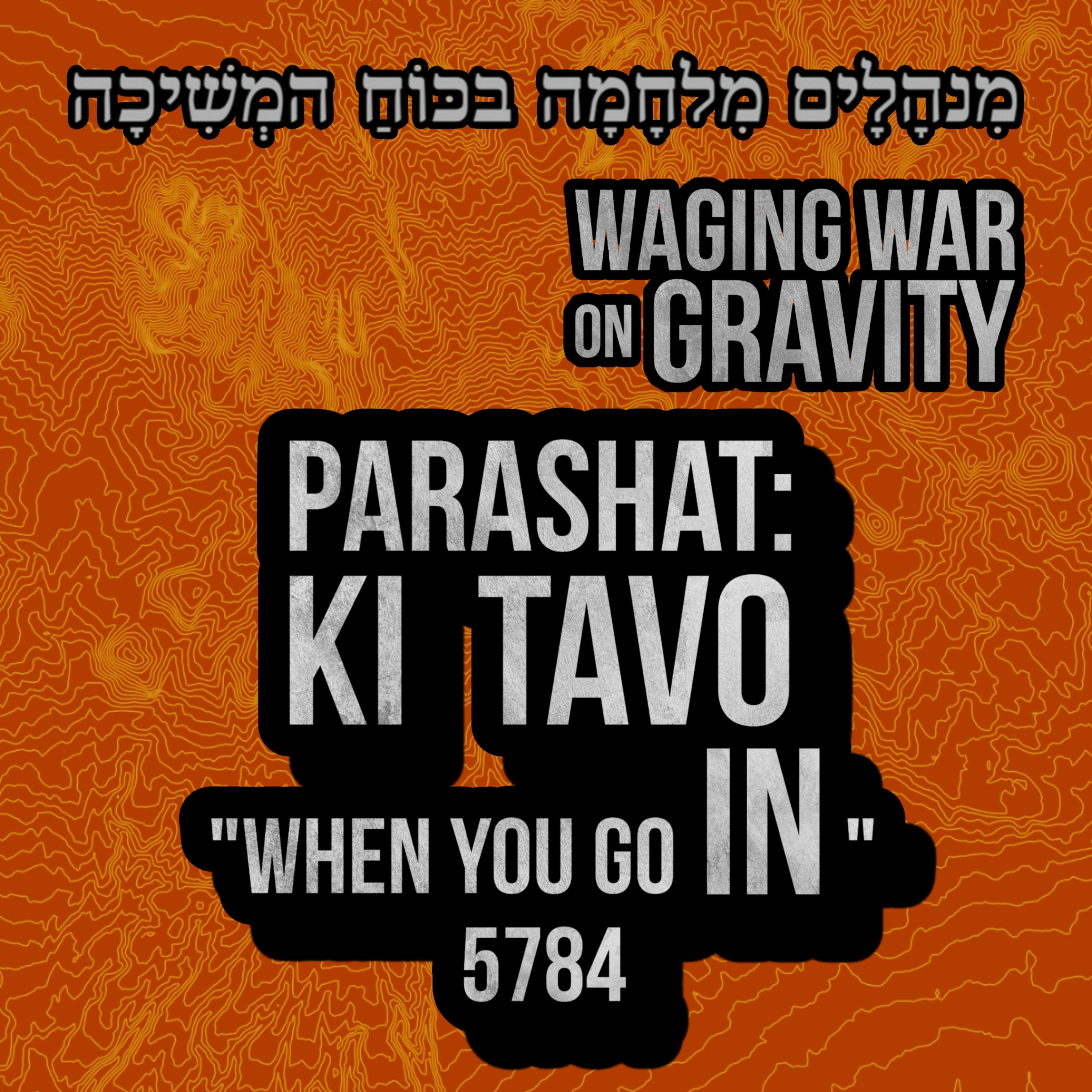 Ki Tavo - When you GO IN...