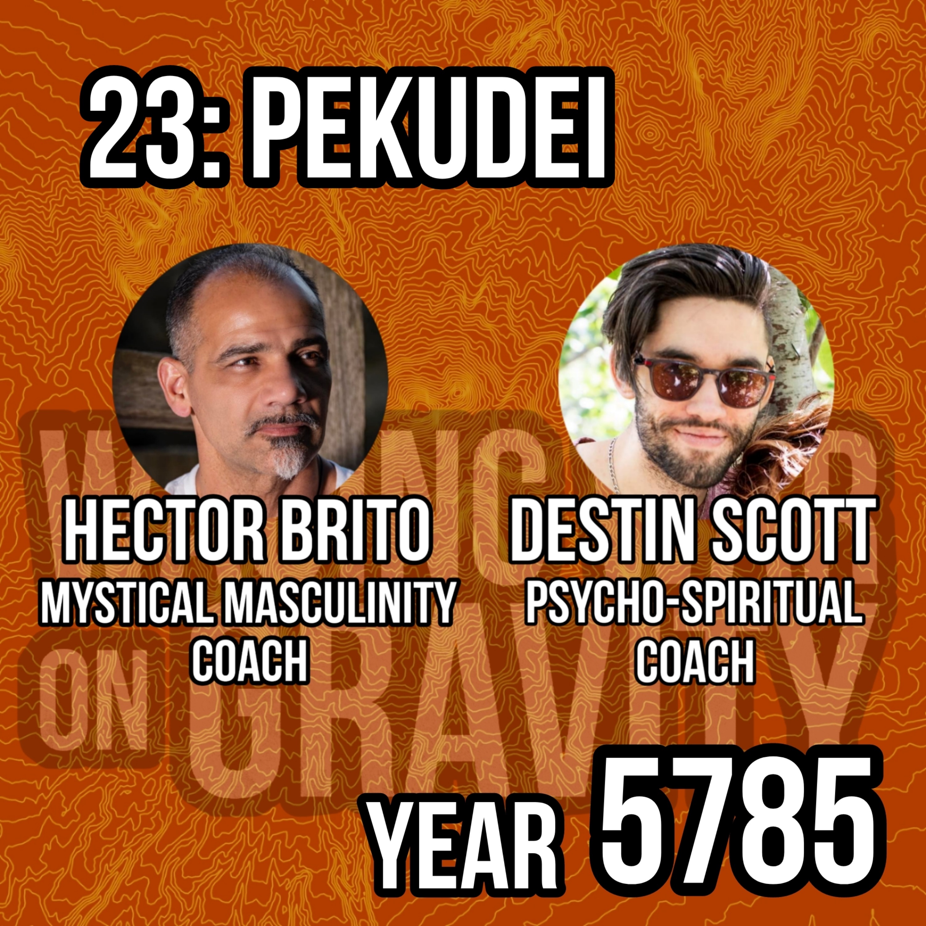 Pekudei: 5785