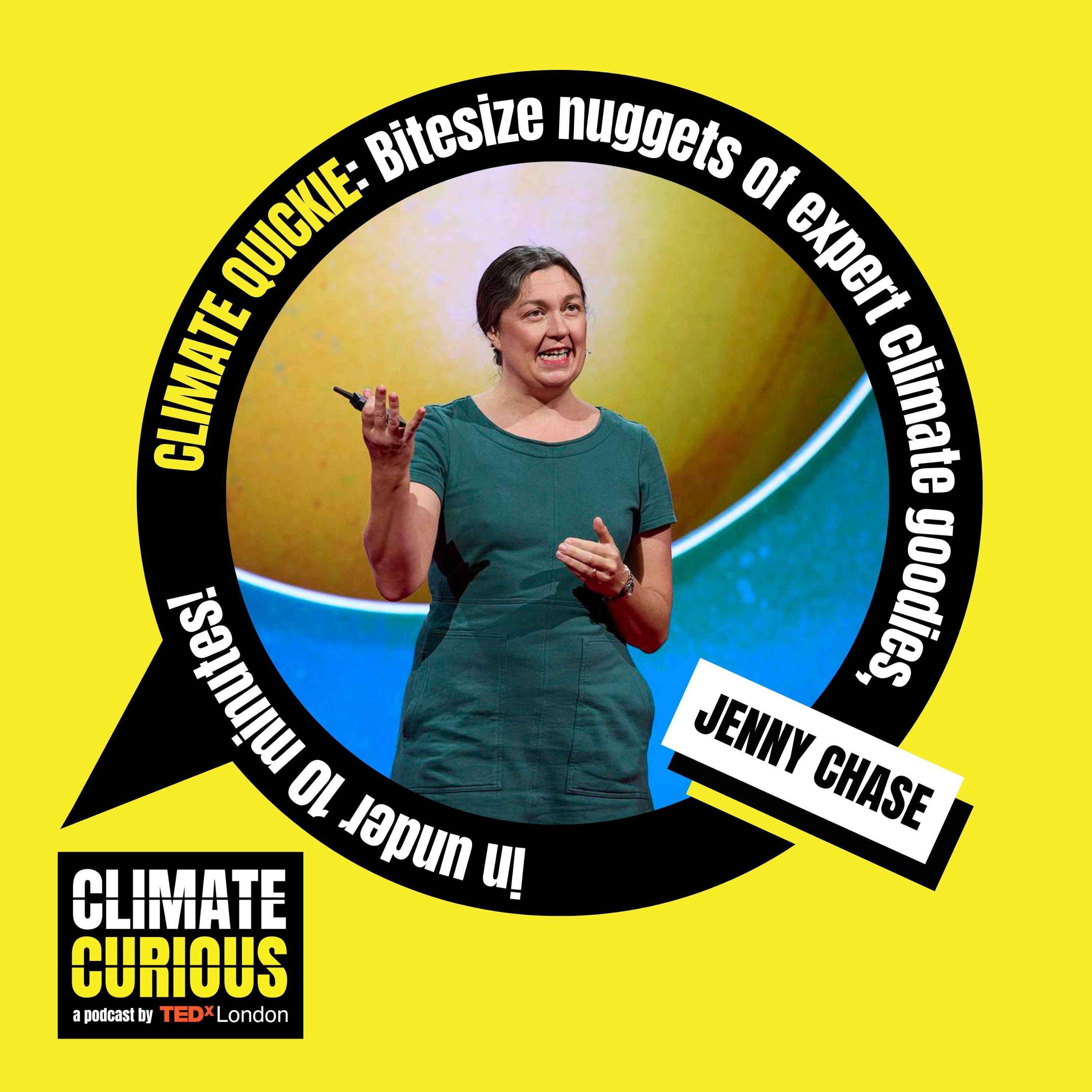 How solar panels became the darling of the climate movement