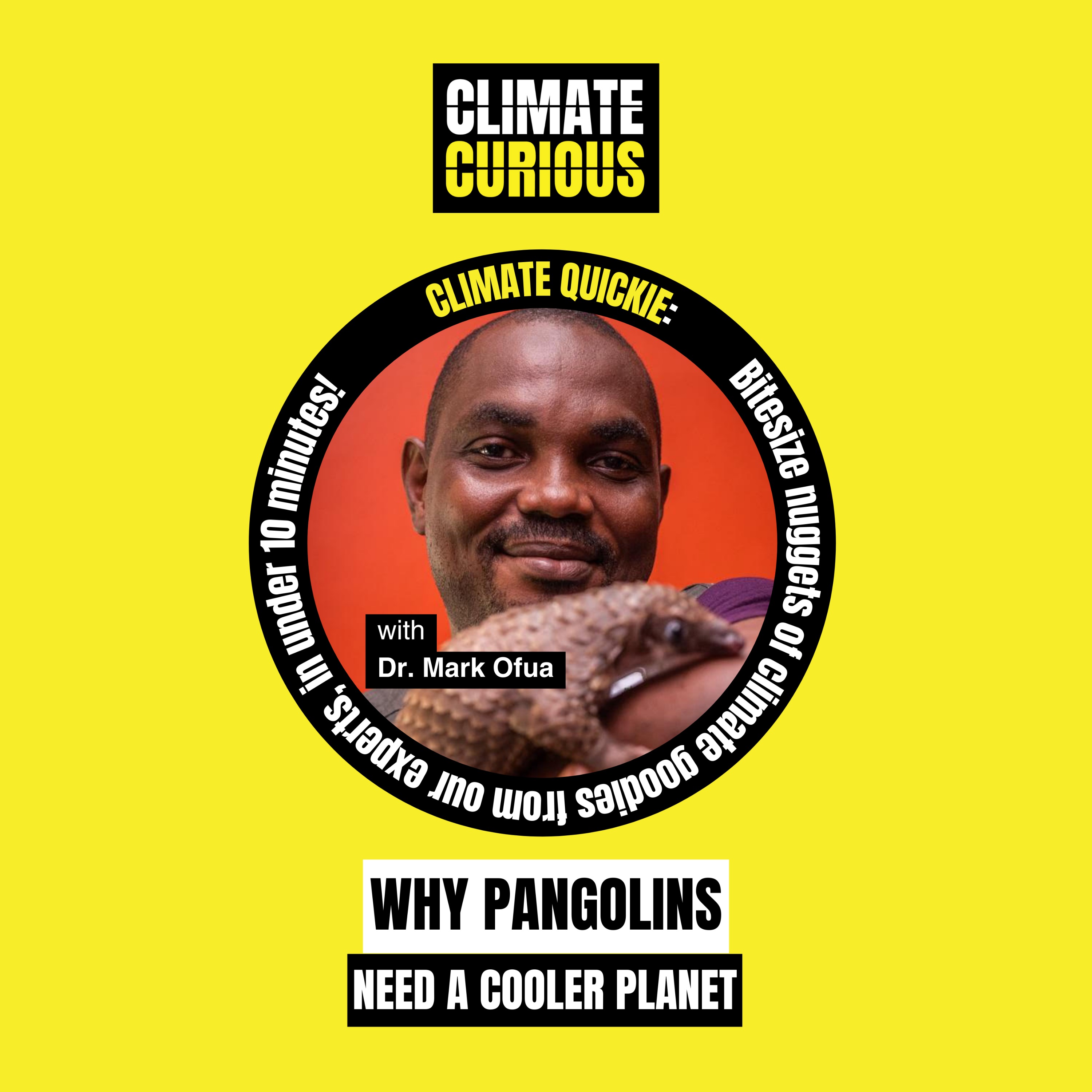 Why pangolins need a cooler planet