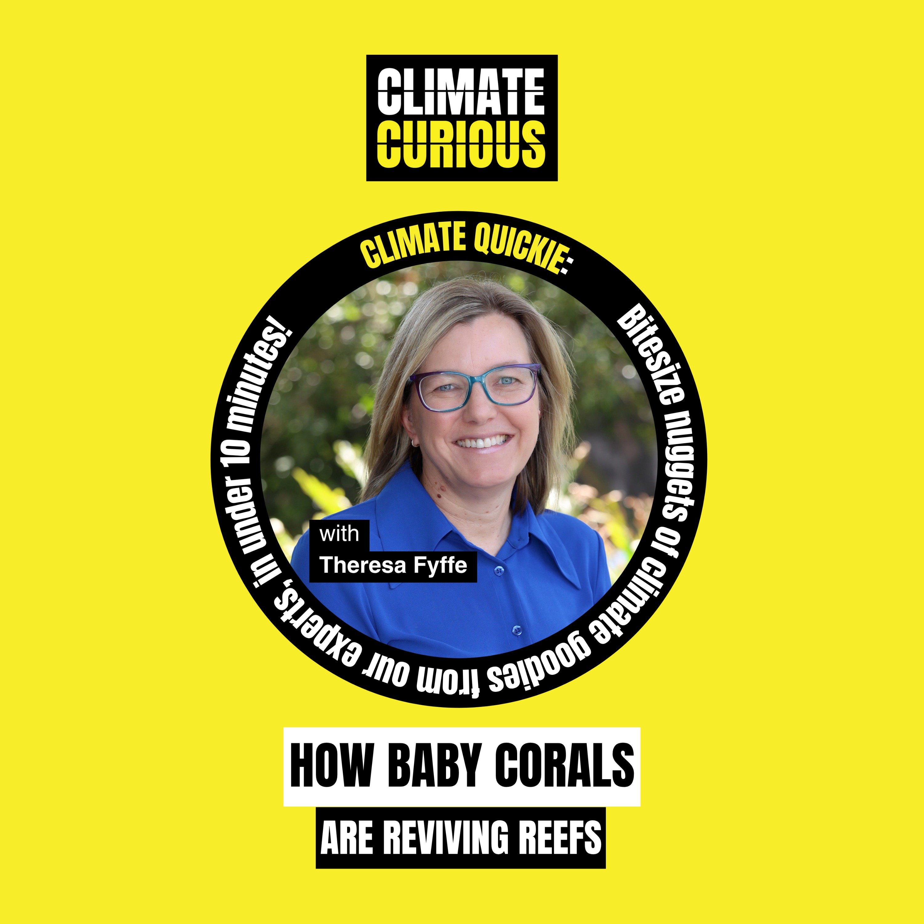 How baby corals are reviving reefs