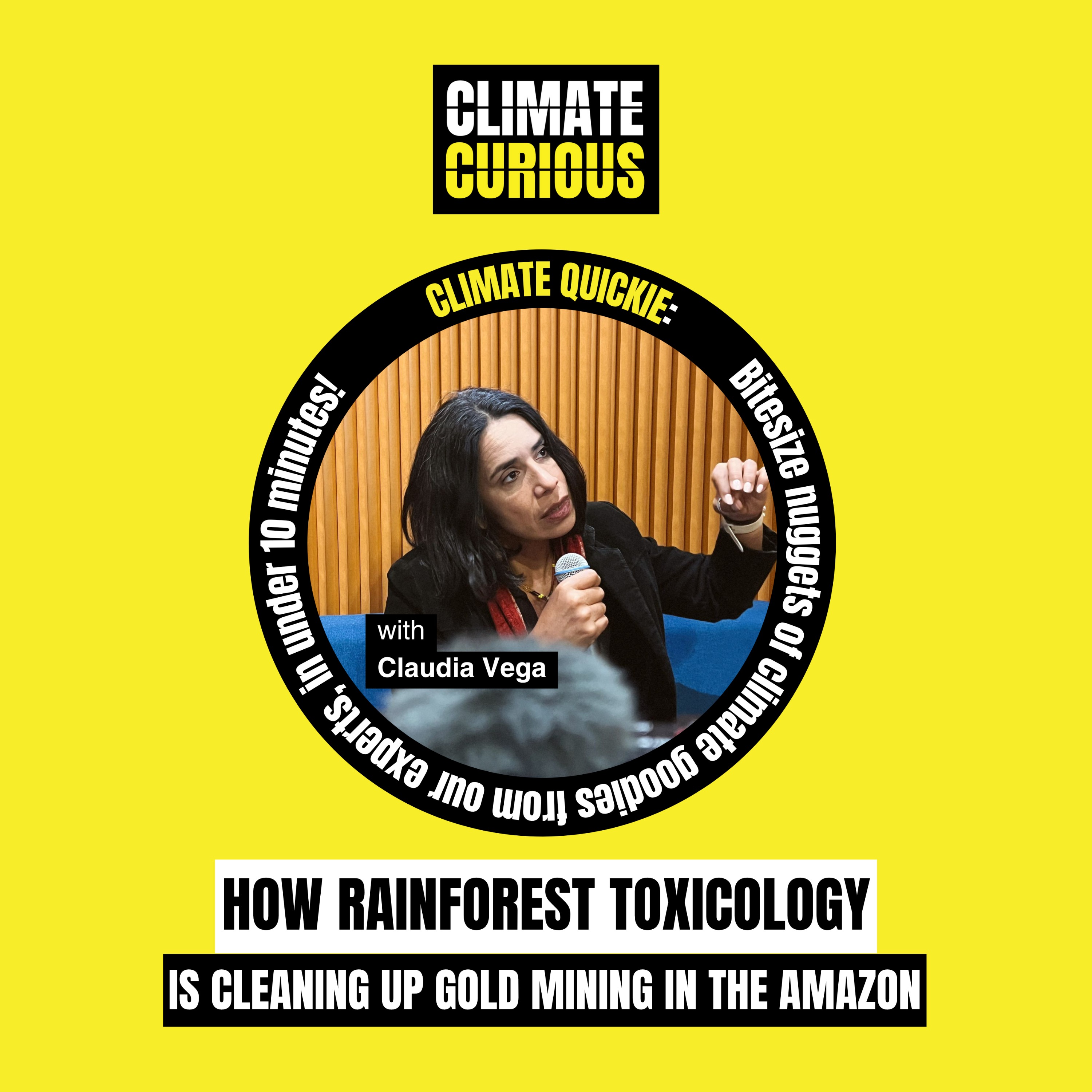 How a rainforest toxicologist is cleaning up gold mining in the Amazon