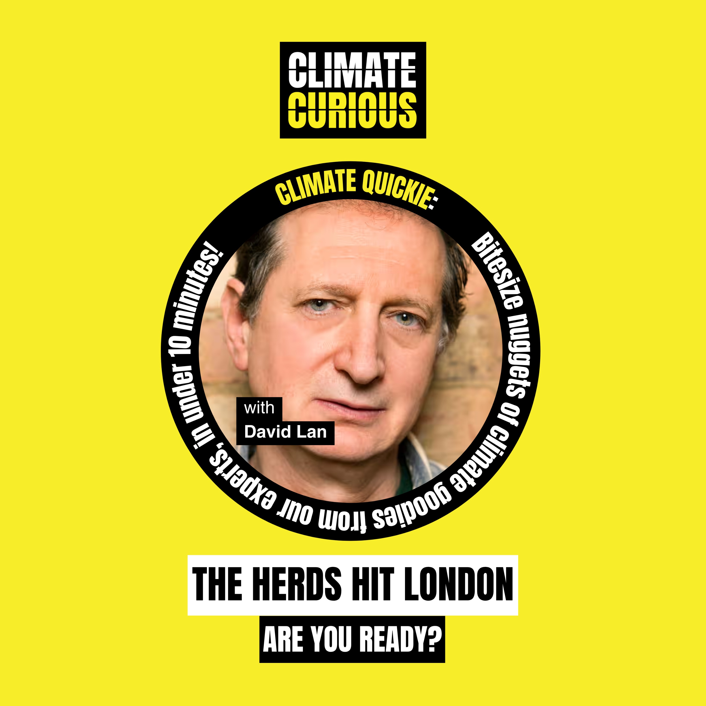 The Herds hit London: are you ready?