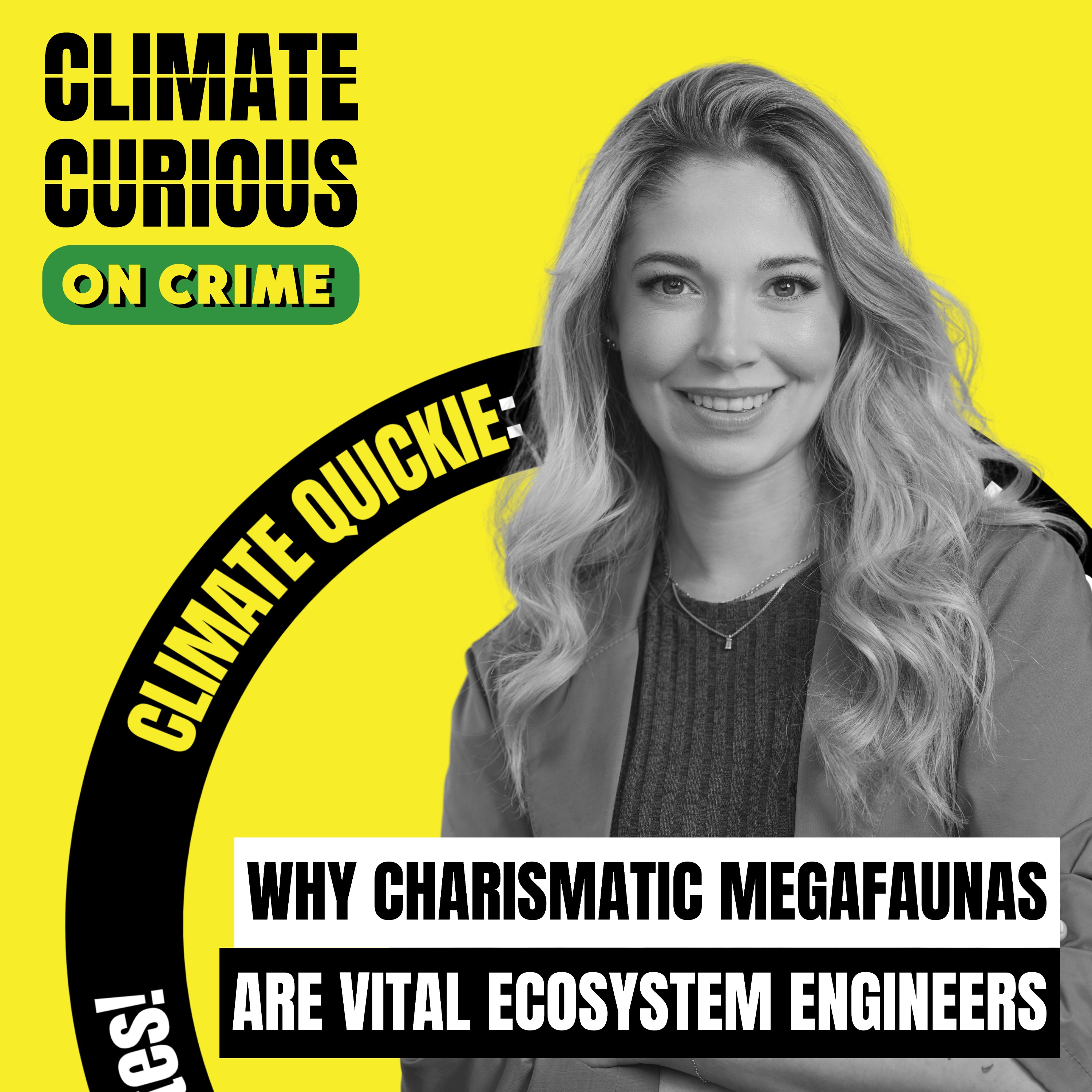 Climate Curious