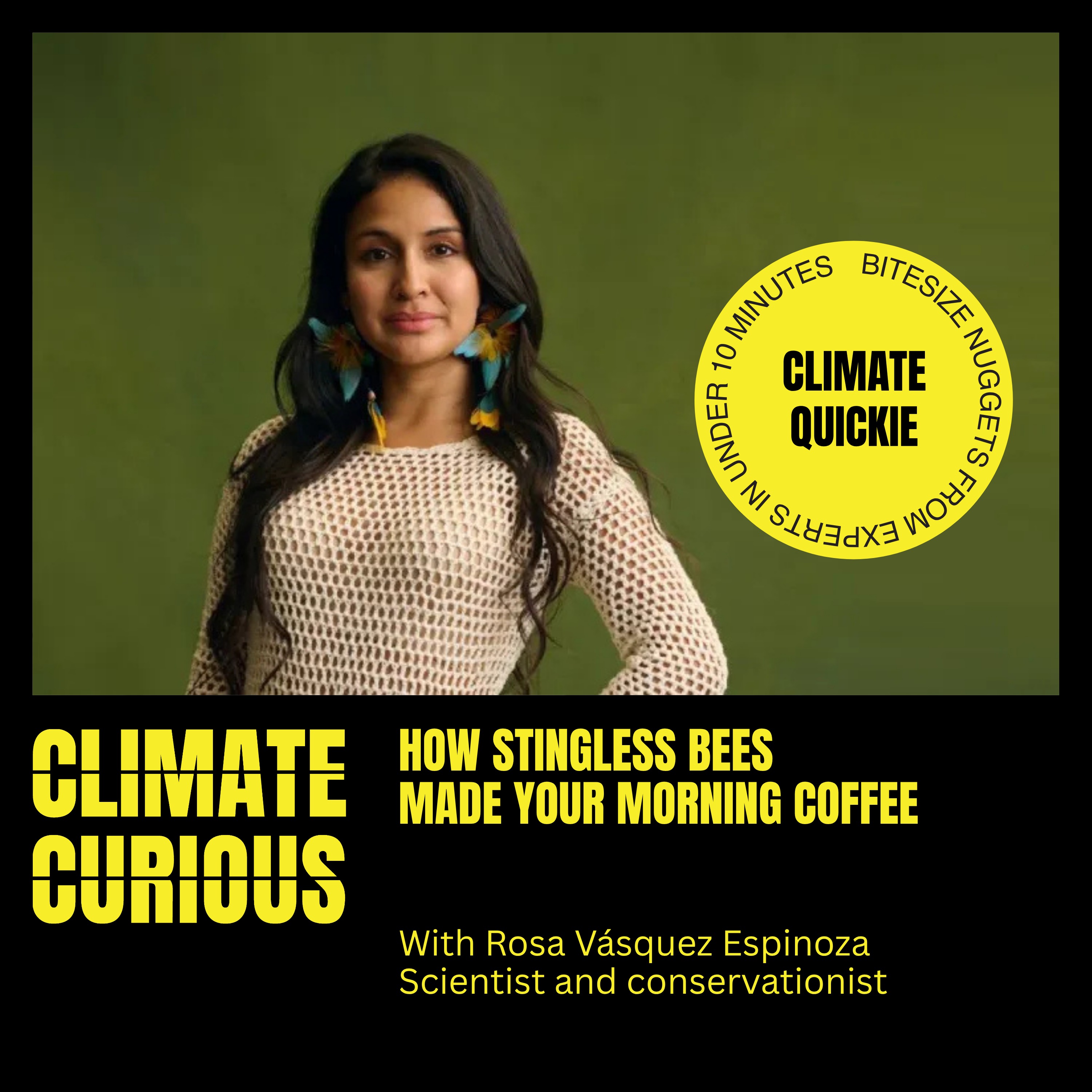 How stingless bees made your morning coffee, with Rosa Vásquez Espinoza