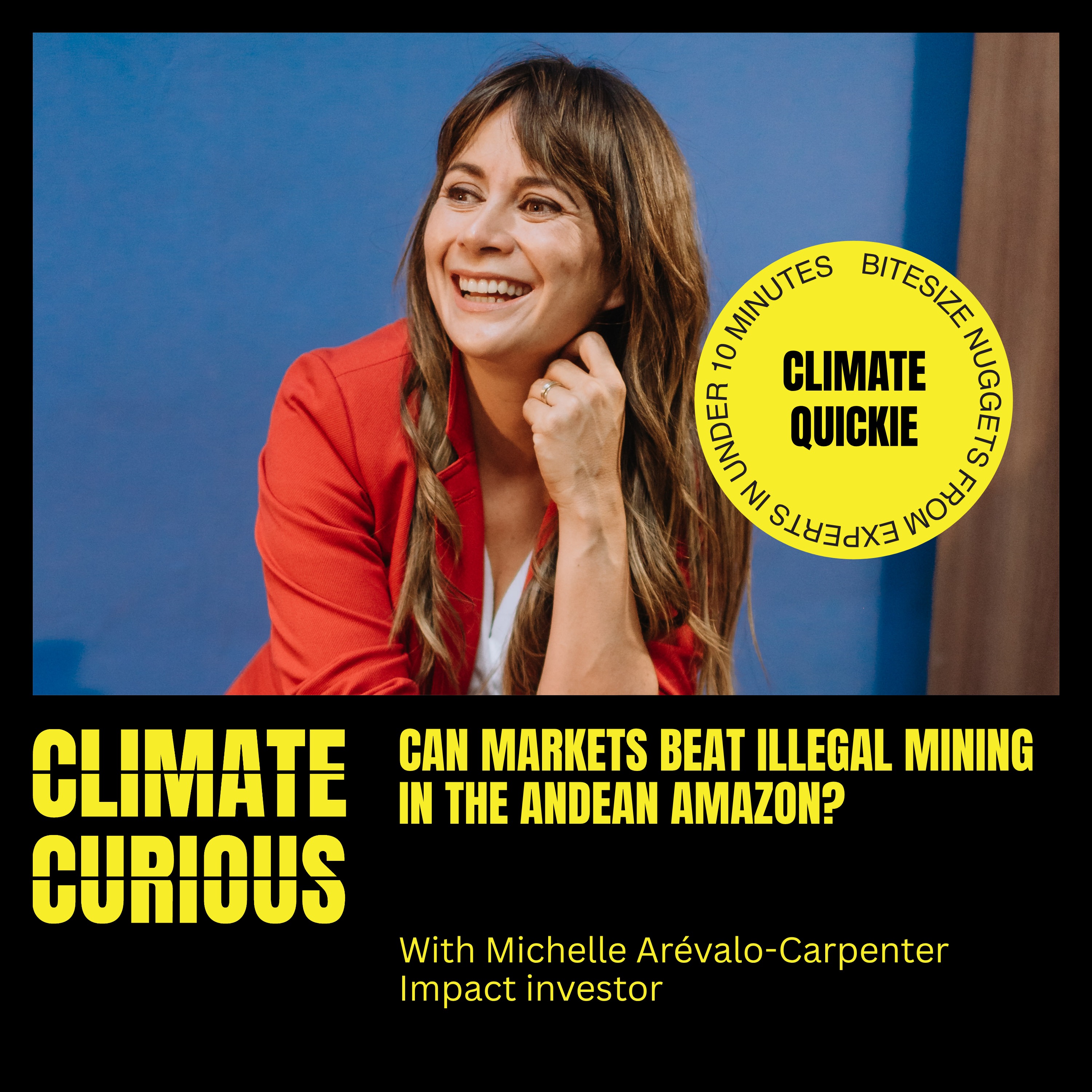 Can markets beat illegal mining in the Andean Amazon? episode artwork