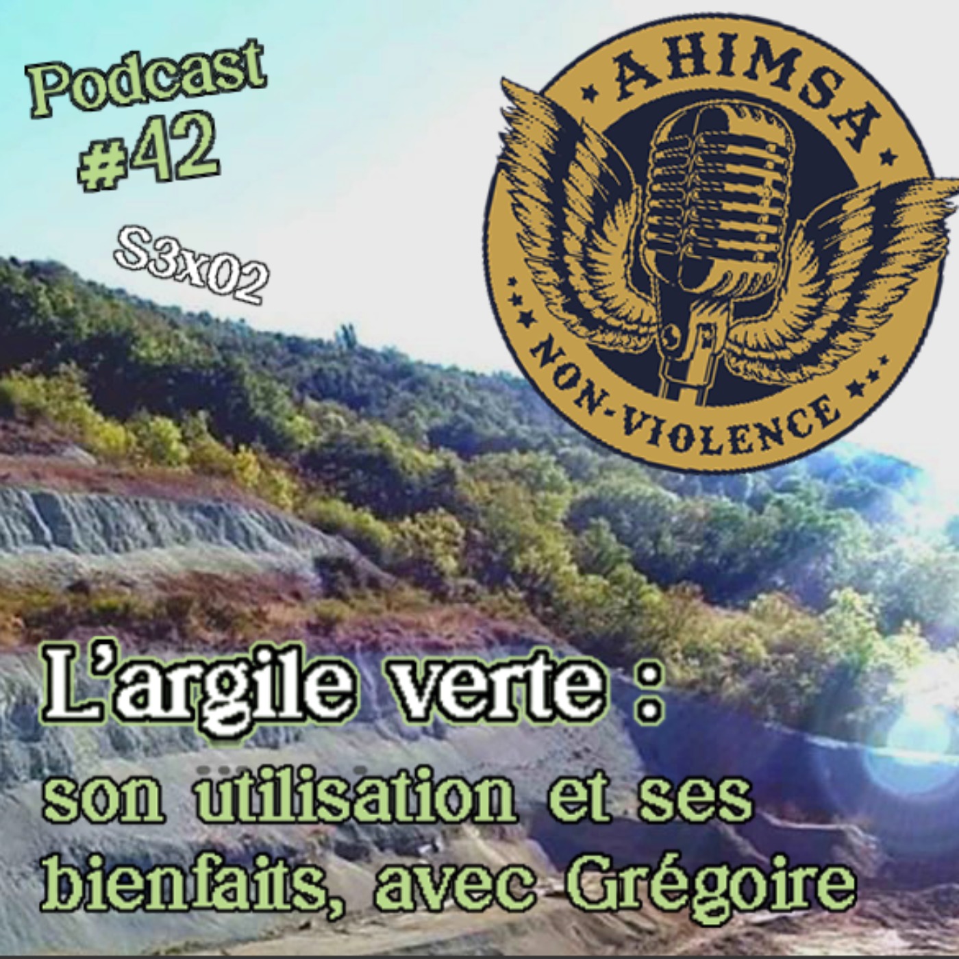 Ahimsa Non-Violence