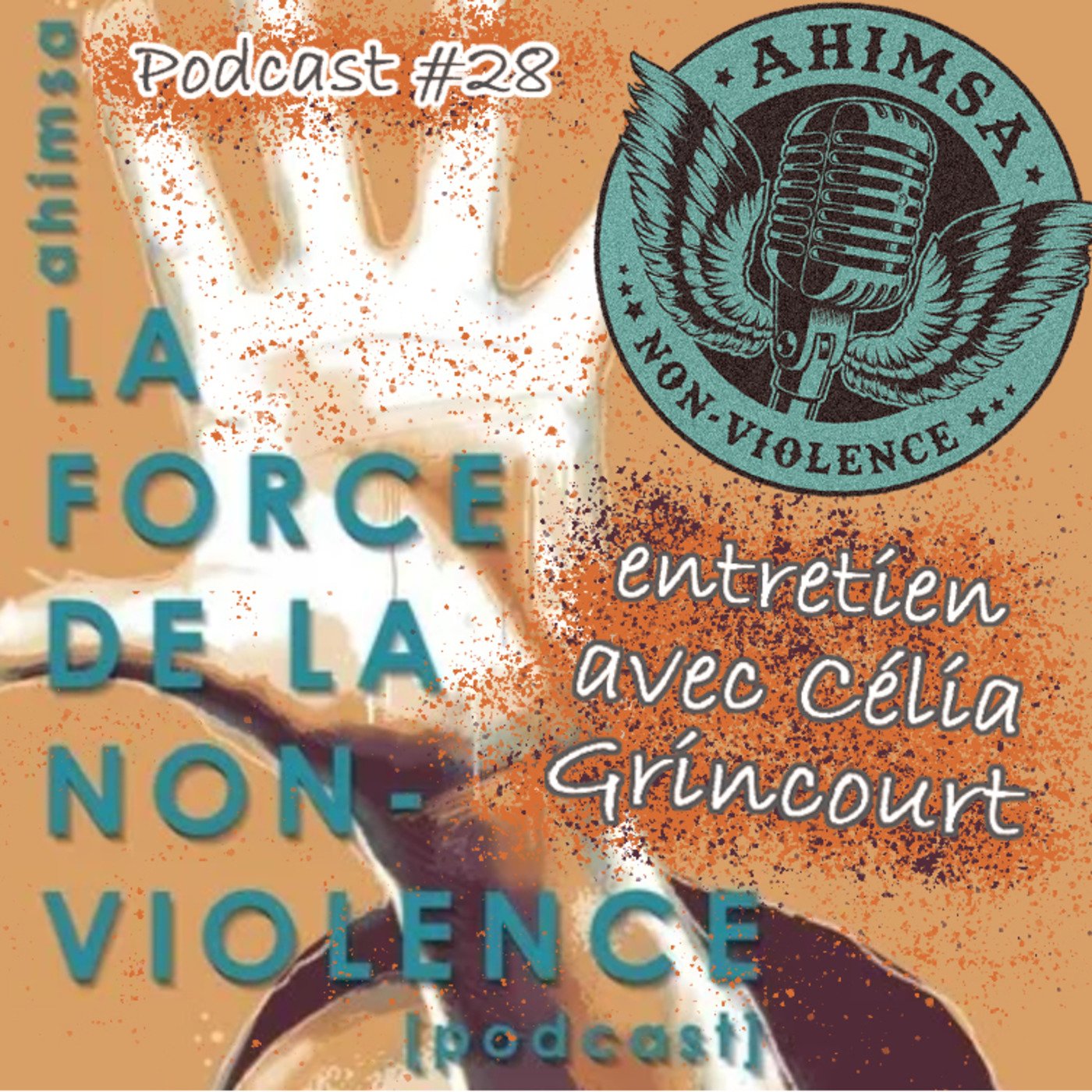 Ahimsa Non-Violence