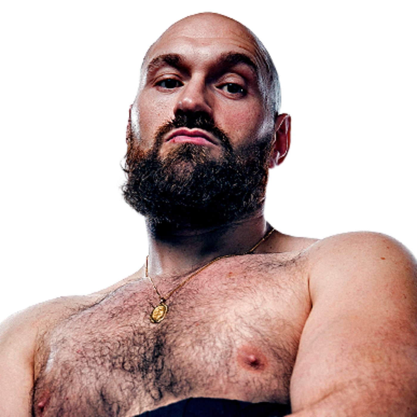 "The king will return to the throne"...apparantly "The king will return to the throne"...apparantly