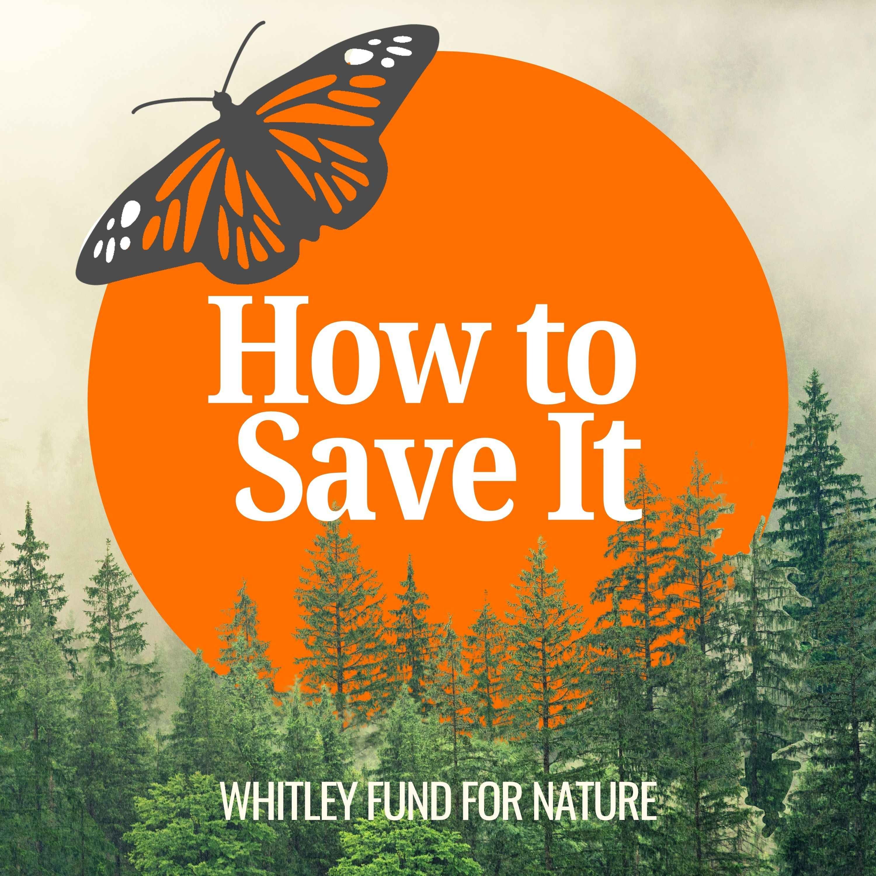 How to Save It