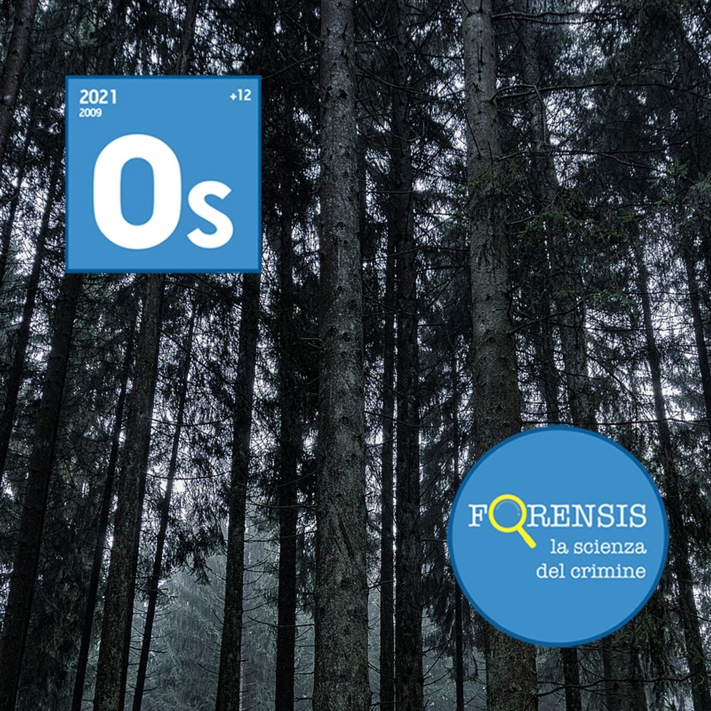 Forensis - la scienza del crimine