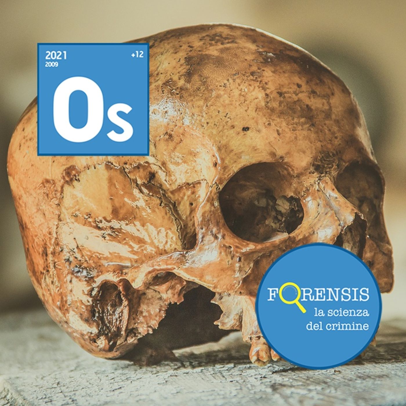 Forensis - la scienza del crimine