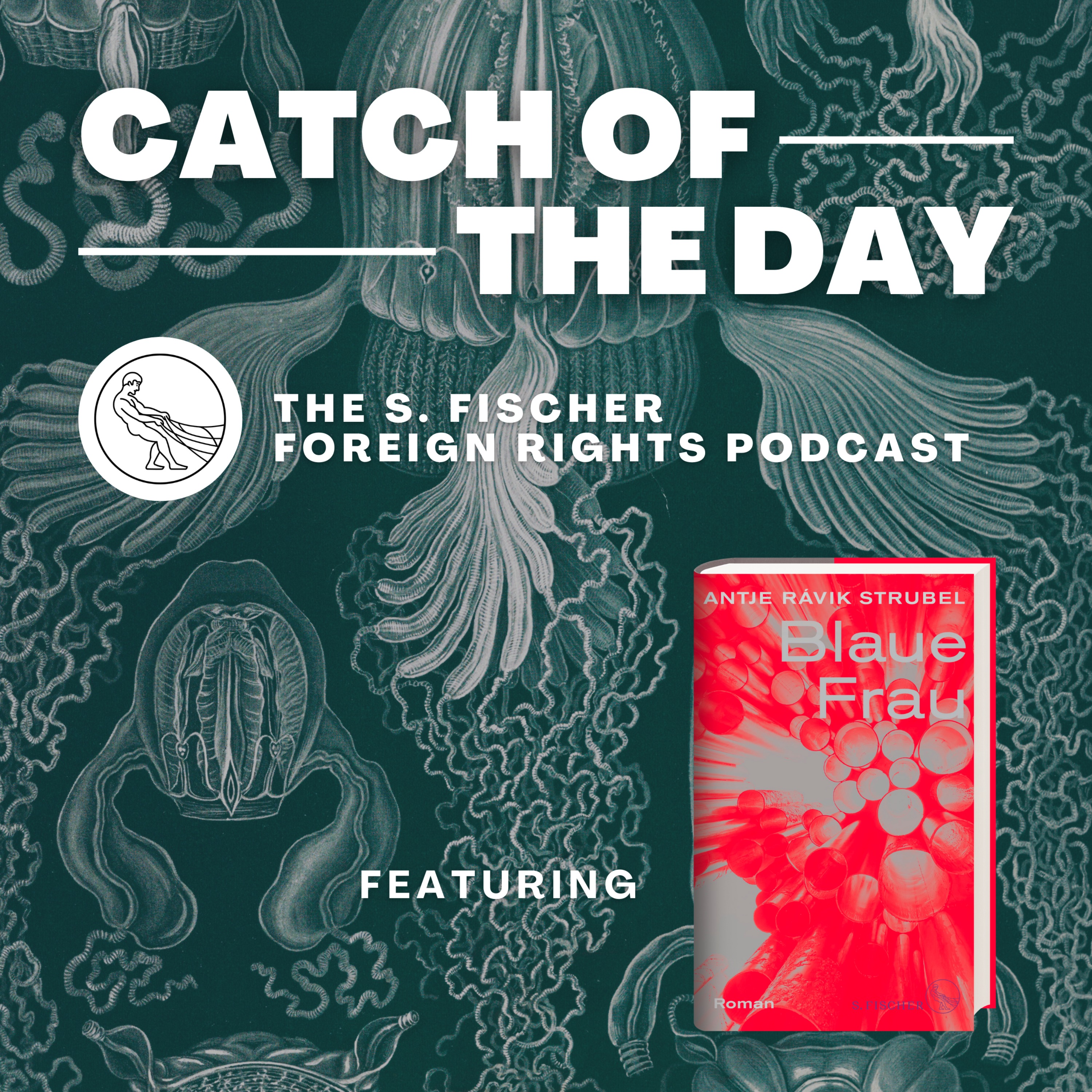 Catch of the Day - The S. Fischer Foreign Rights Podcast