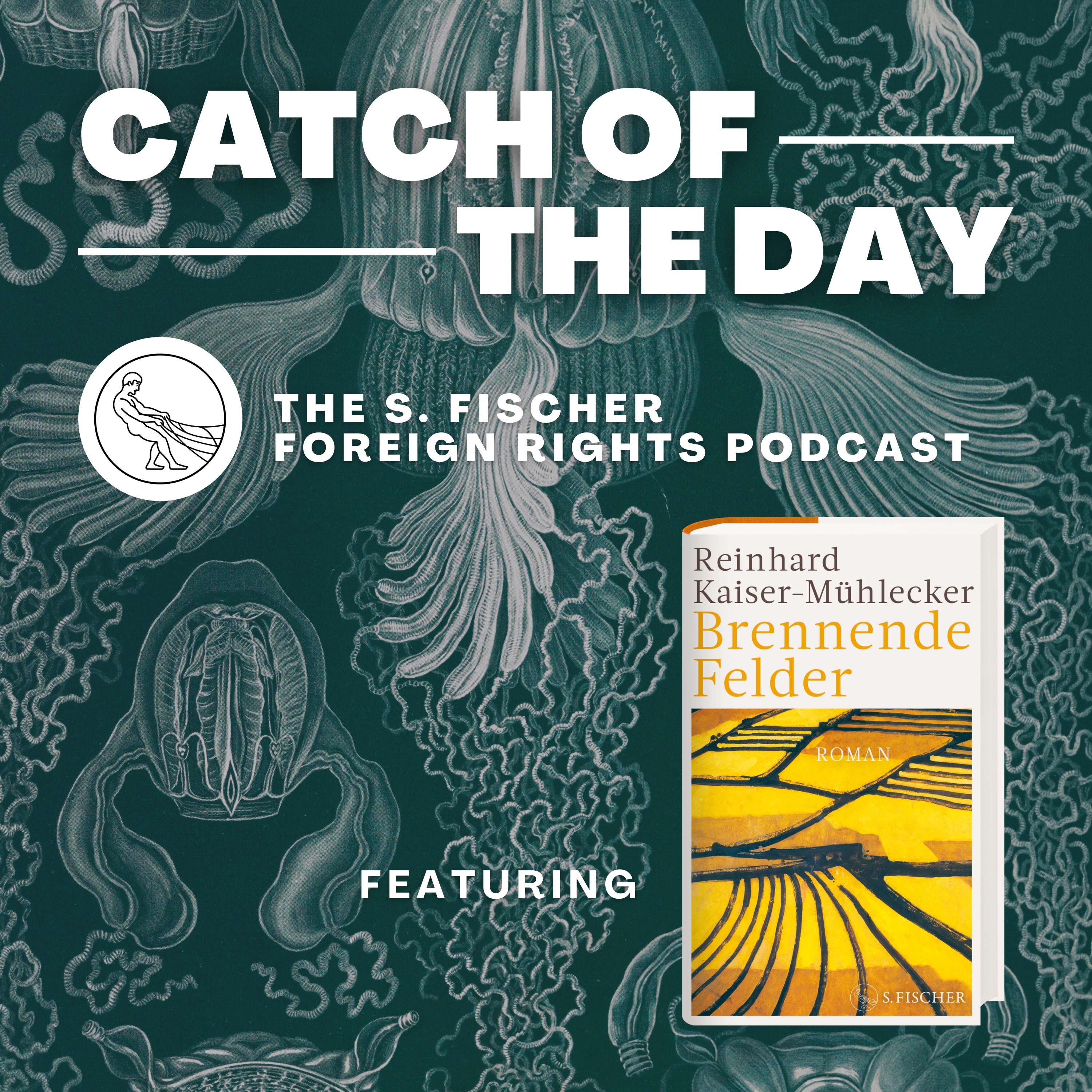 Catch of the Day - The S. Fischer Foreign Rights Podcast