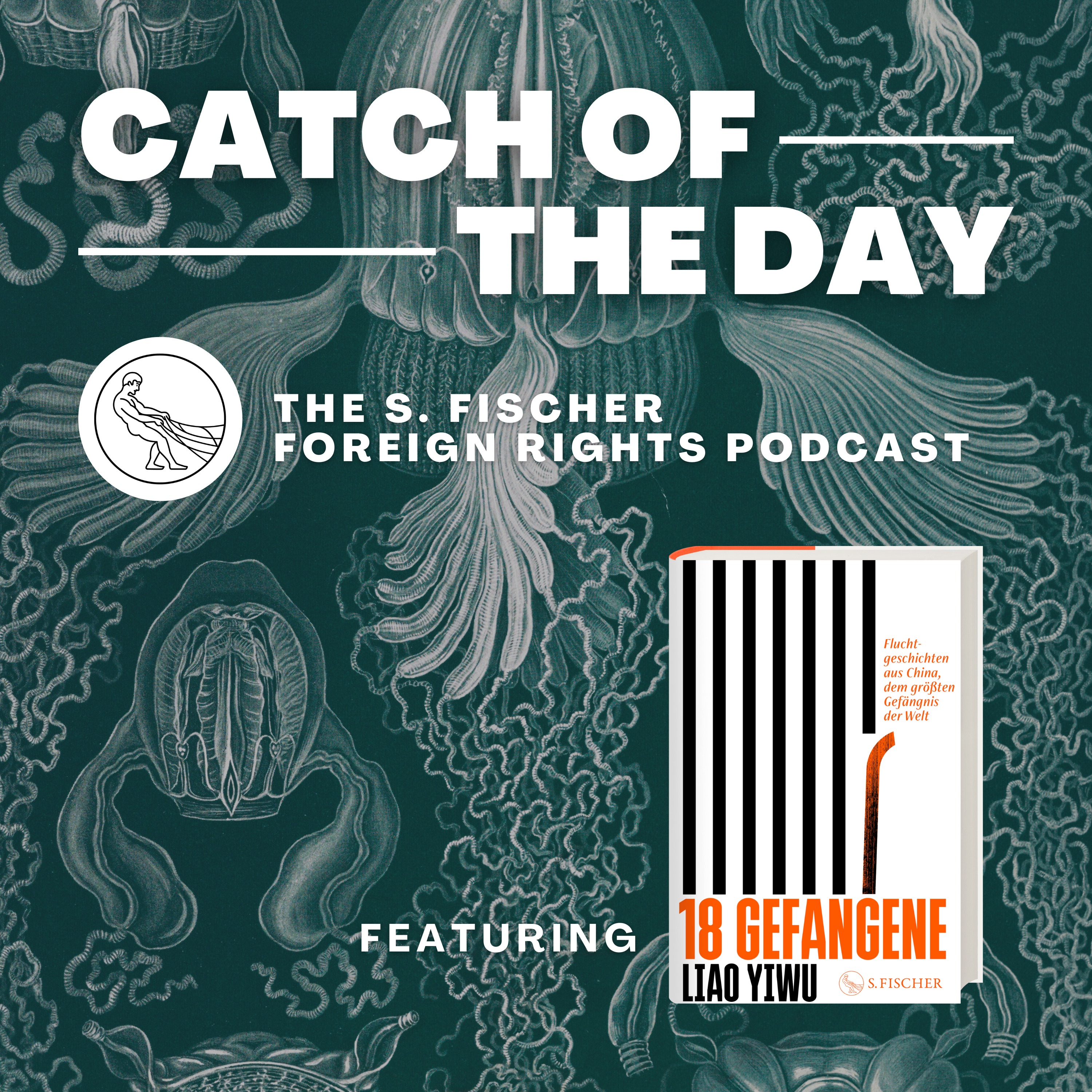 Catch of the Day - The S. Fischer Foreign Rights Podcast