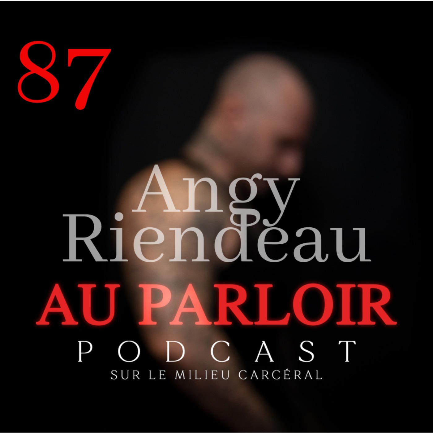 Épisode %2387 – Angy Riendeau, M.sc. Criminologue