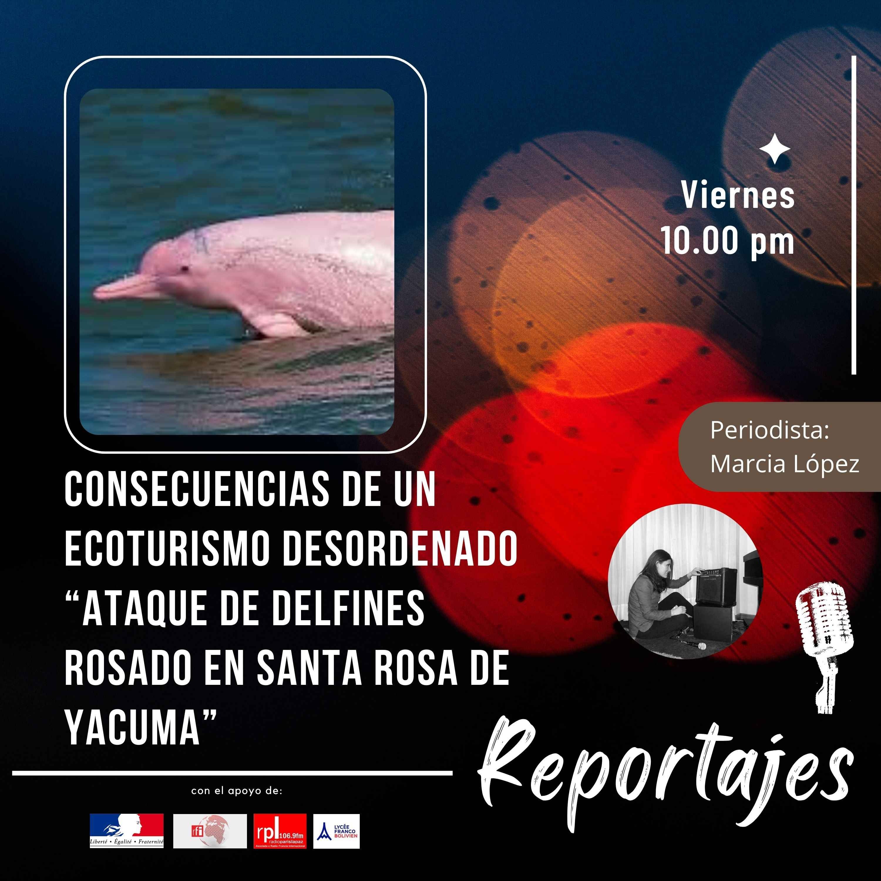 MUNDO CIENCIA
